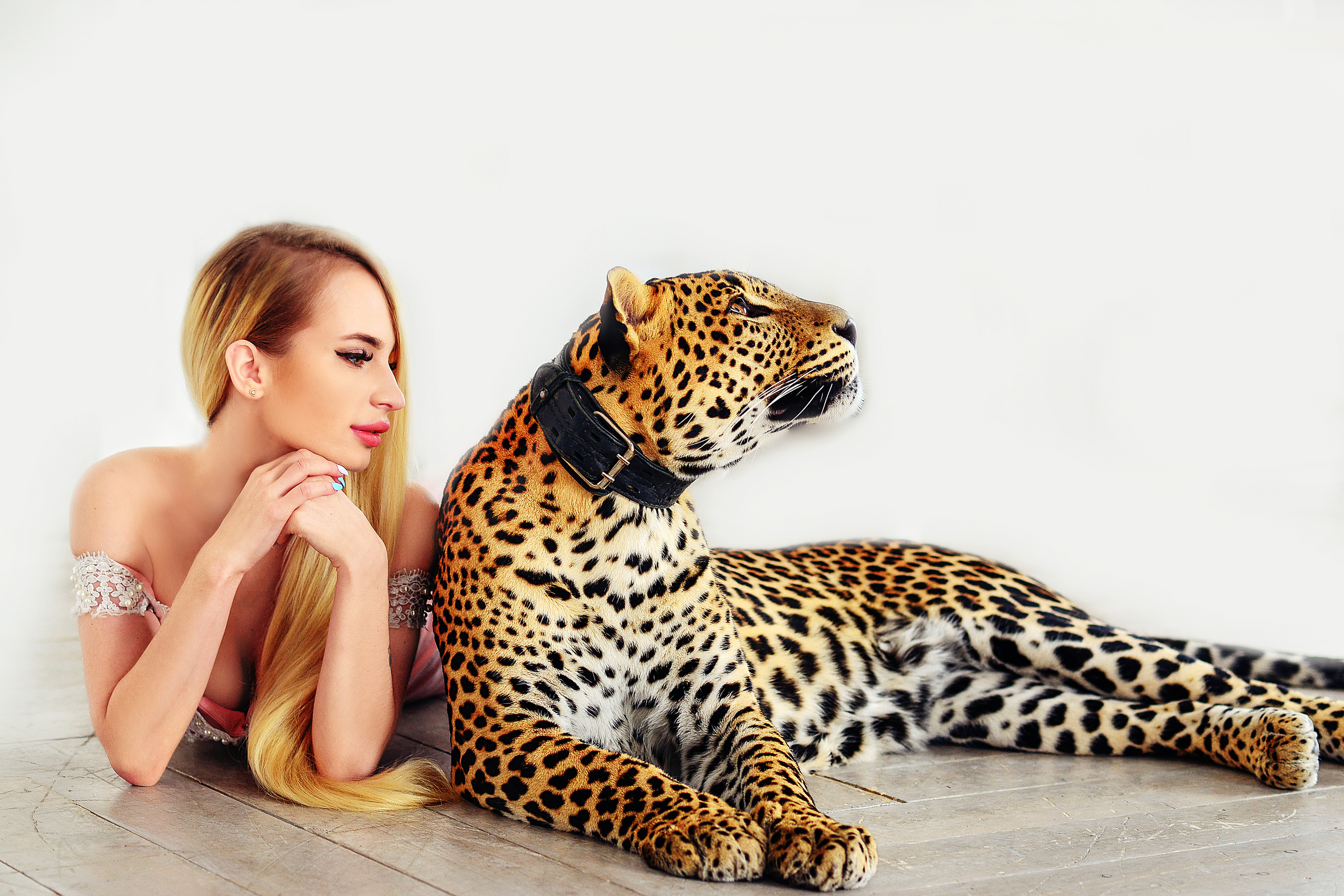 ЛАСКОВЫЙ ХИЩНИК. Фотограф Марина Герц