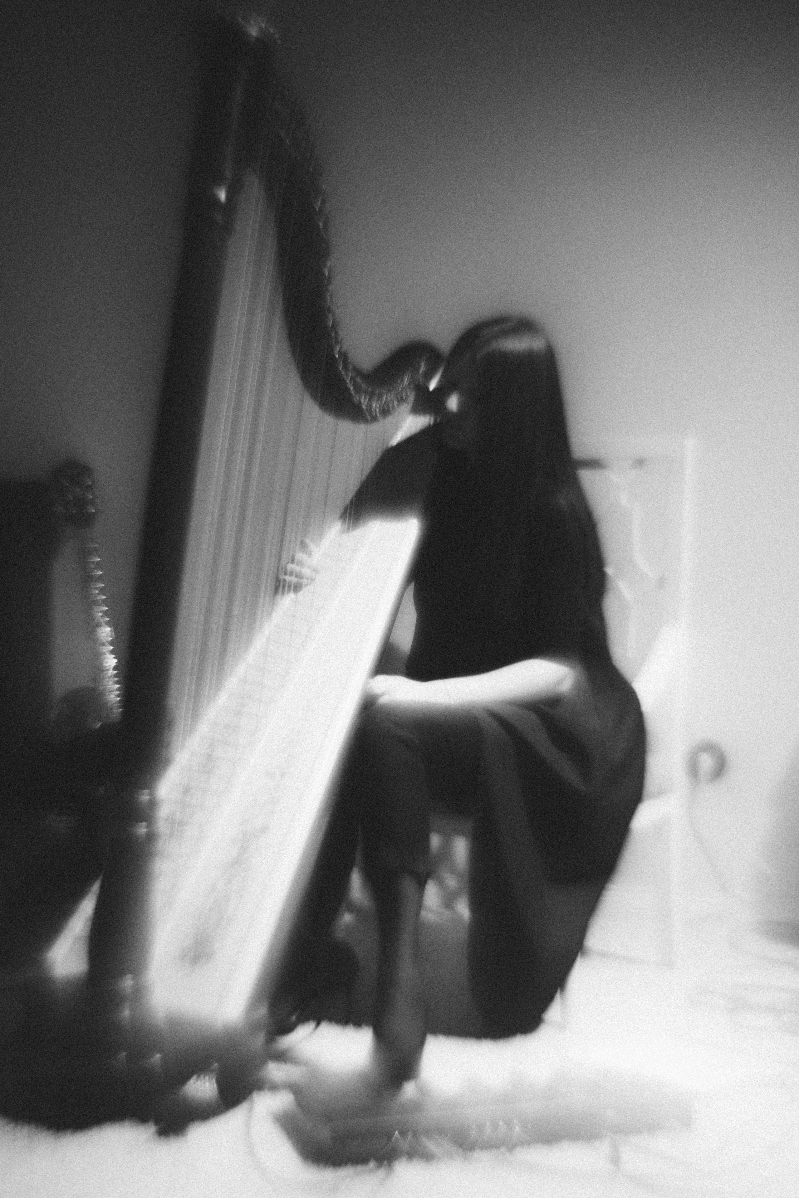 Арфовый дом. Veronika Popadeikina Photographer