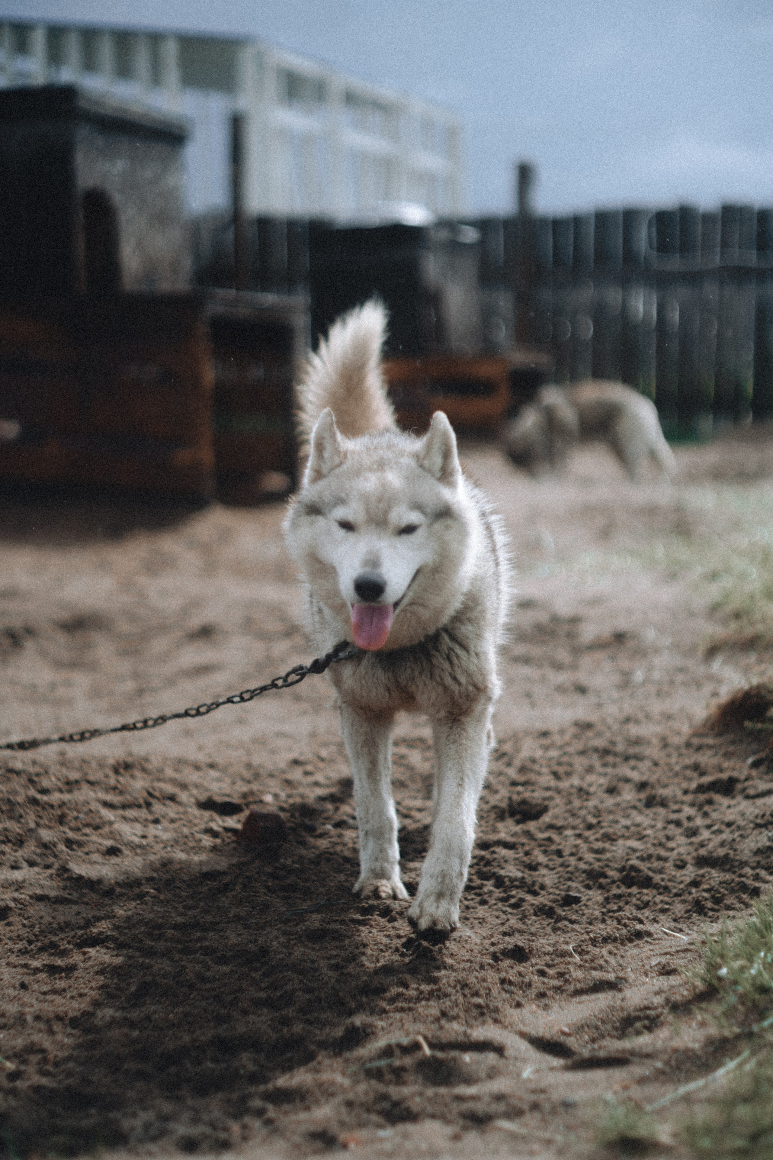 Териберка, Мурманск. Фотосъёмка для компании по организации туров в коллаборации с Яндекс 360