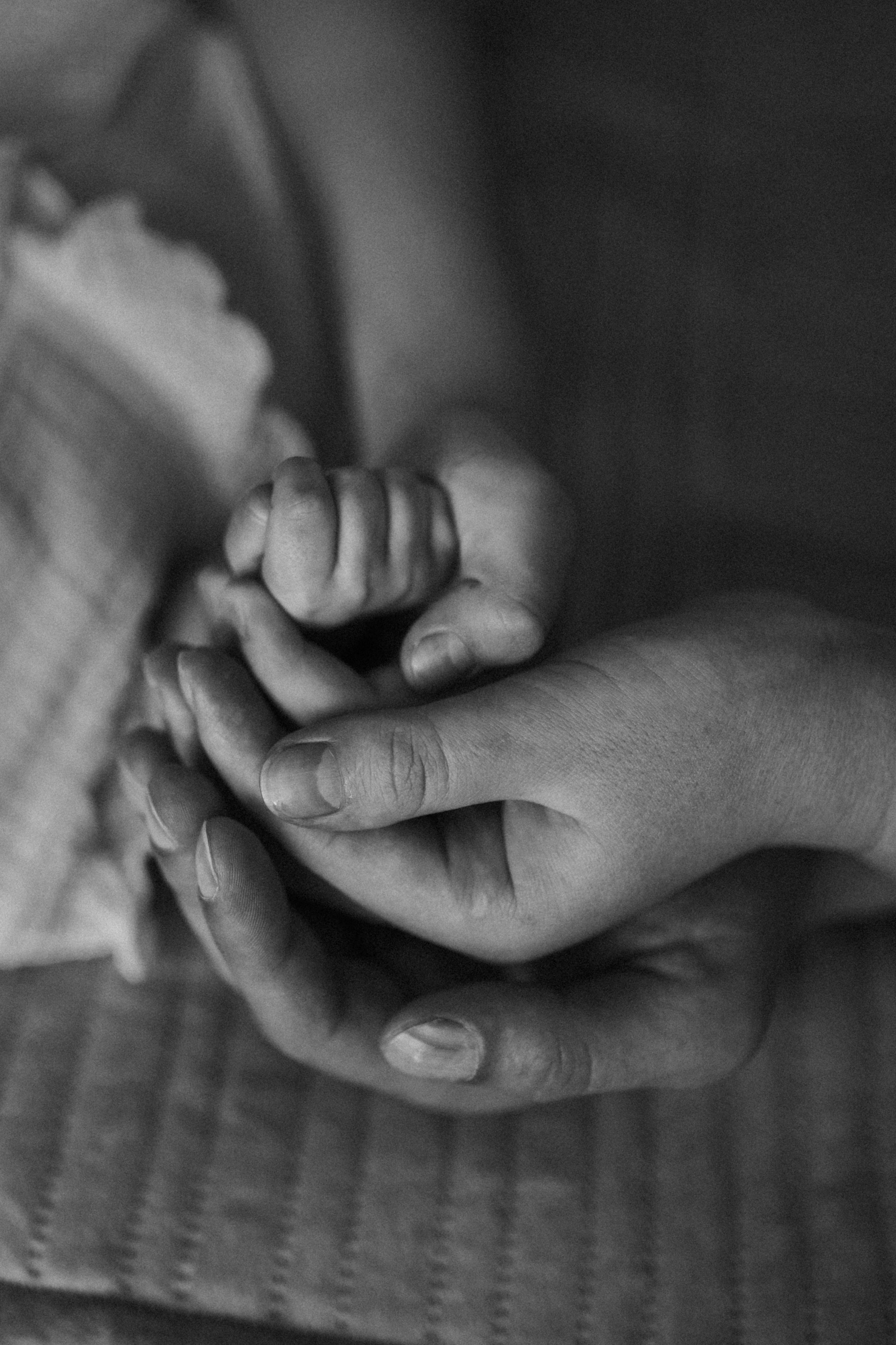 Катя, Ариша, Антон, Артем. Www.ostermiller.ru