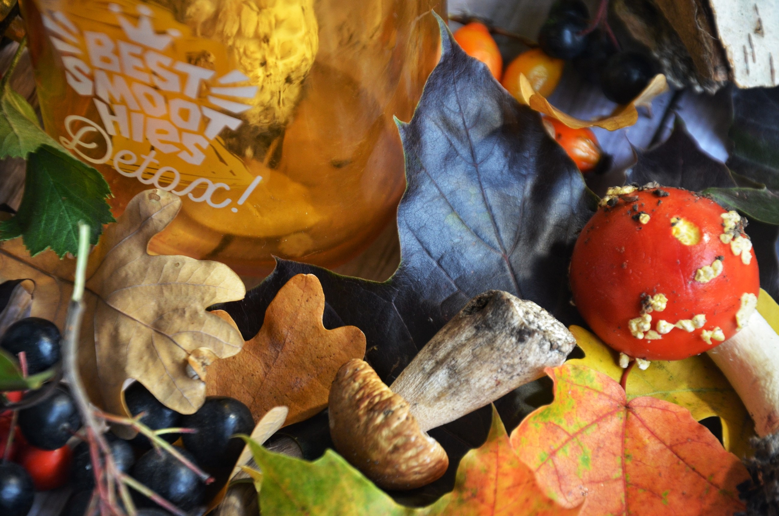 Мухомор Party. Мастер-класс по живописи маслом. Изостудия «Мы рисуем!» ♥ Южное Бутово, Москва