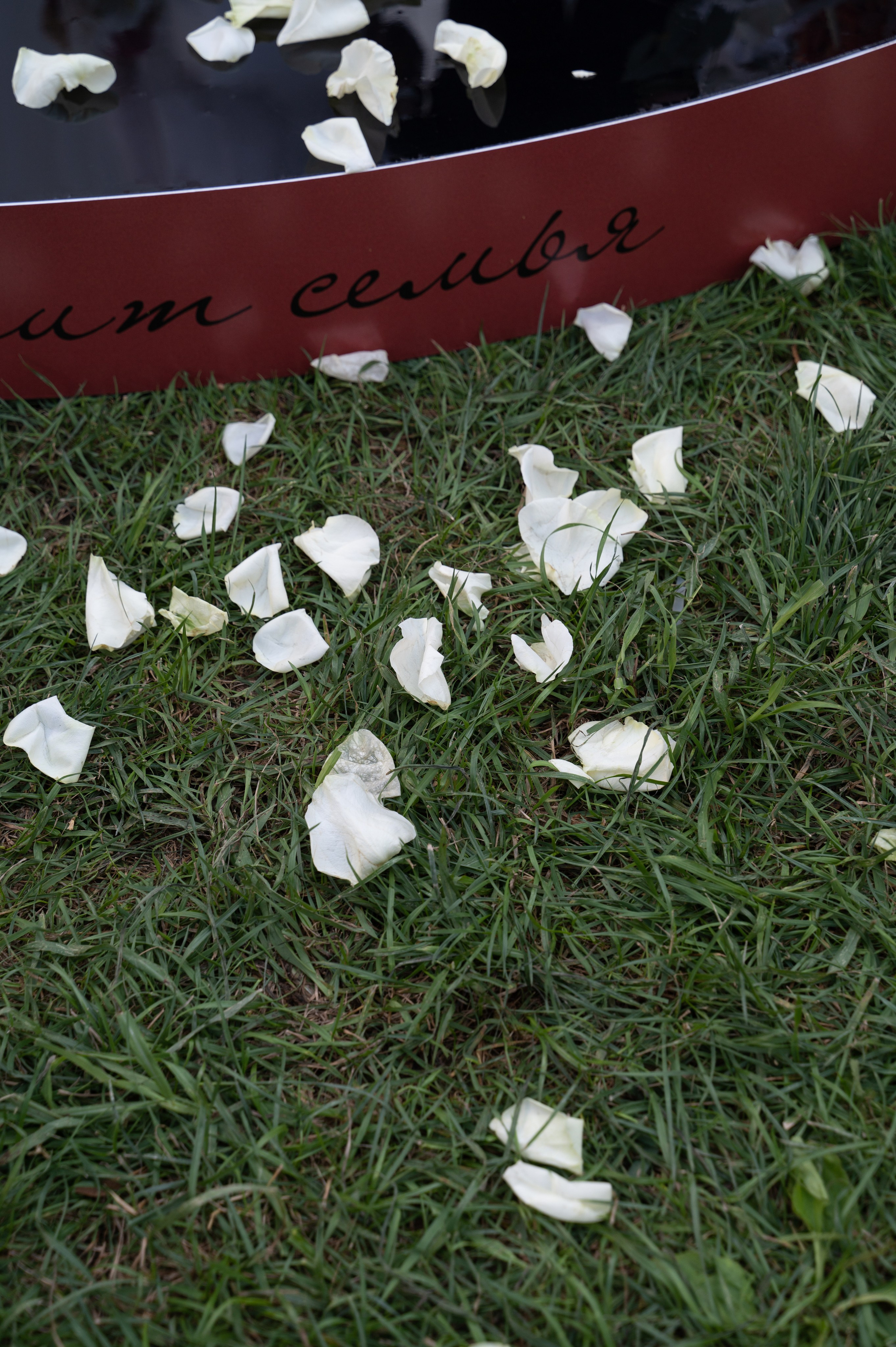 Охана-значит семья. Свадебный фотограф в Краснодаре и Сочи Комолова Екатерина