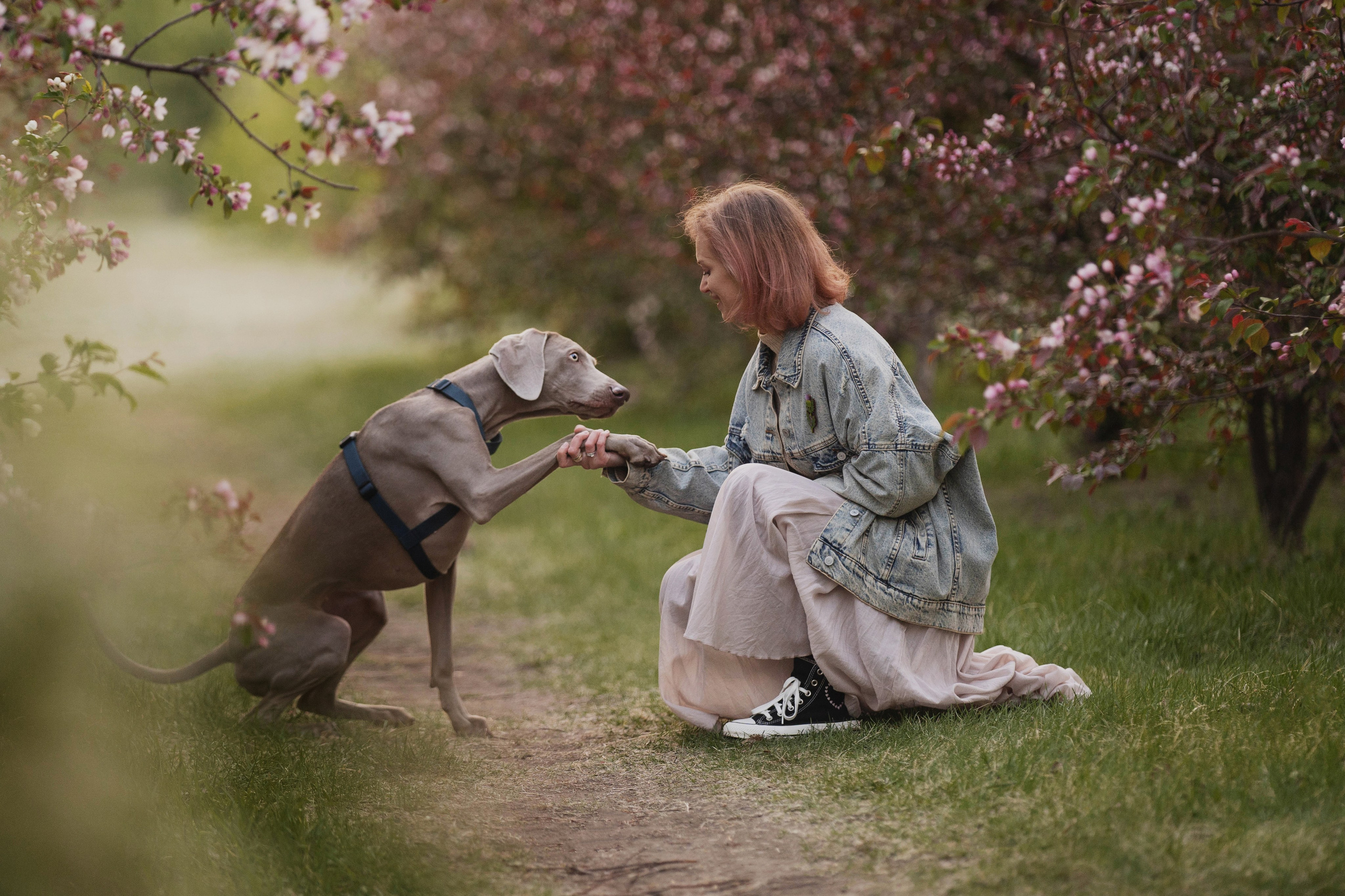 Даша и ее семья. Kameramotor74