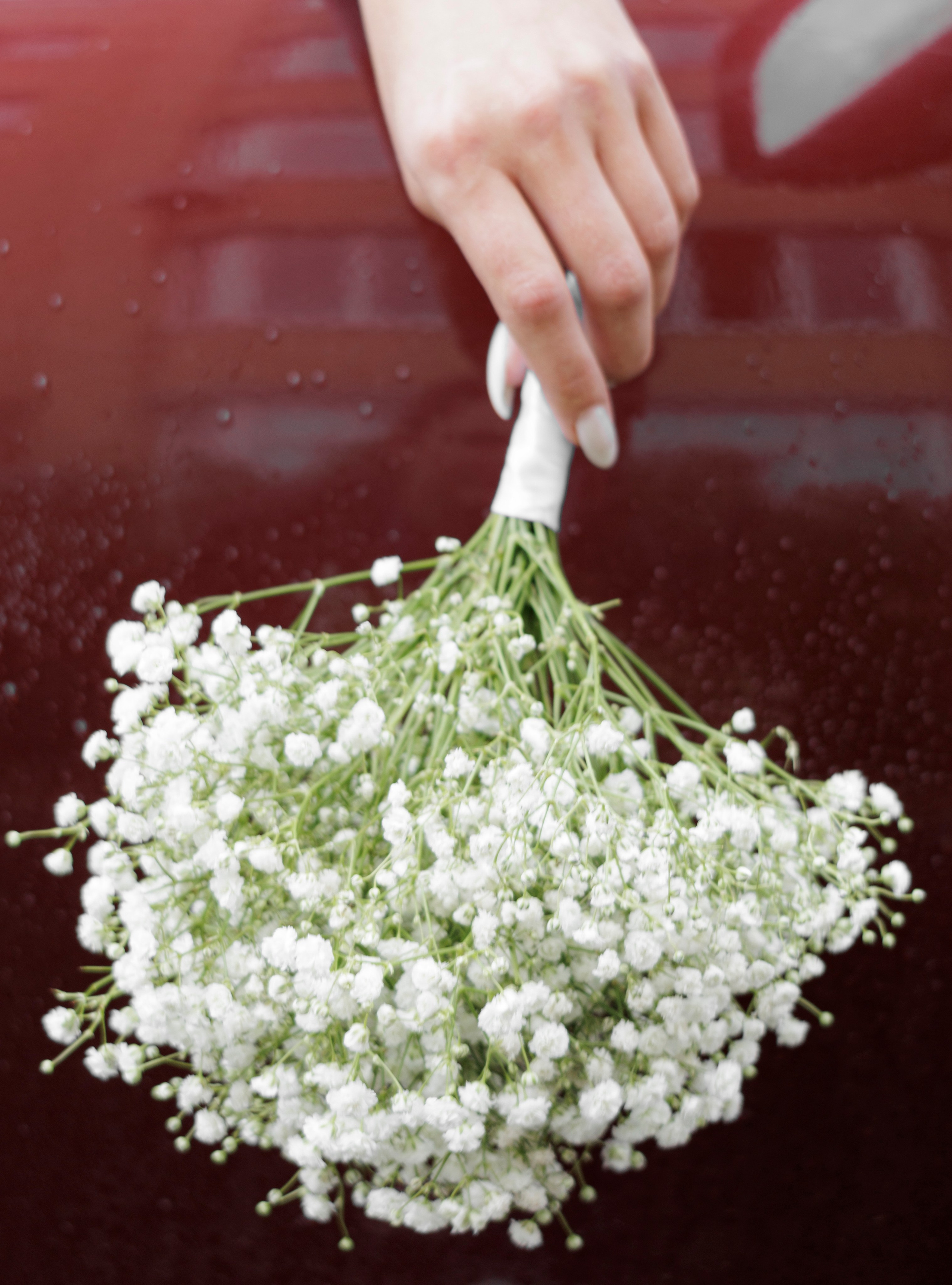 Свадьба (Руслан и Александра). Фотограф в Раменском и Москве |Татьяна Конарева