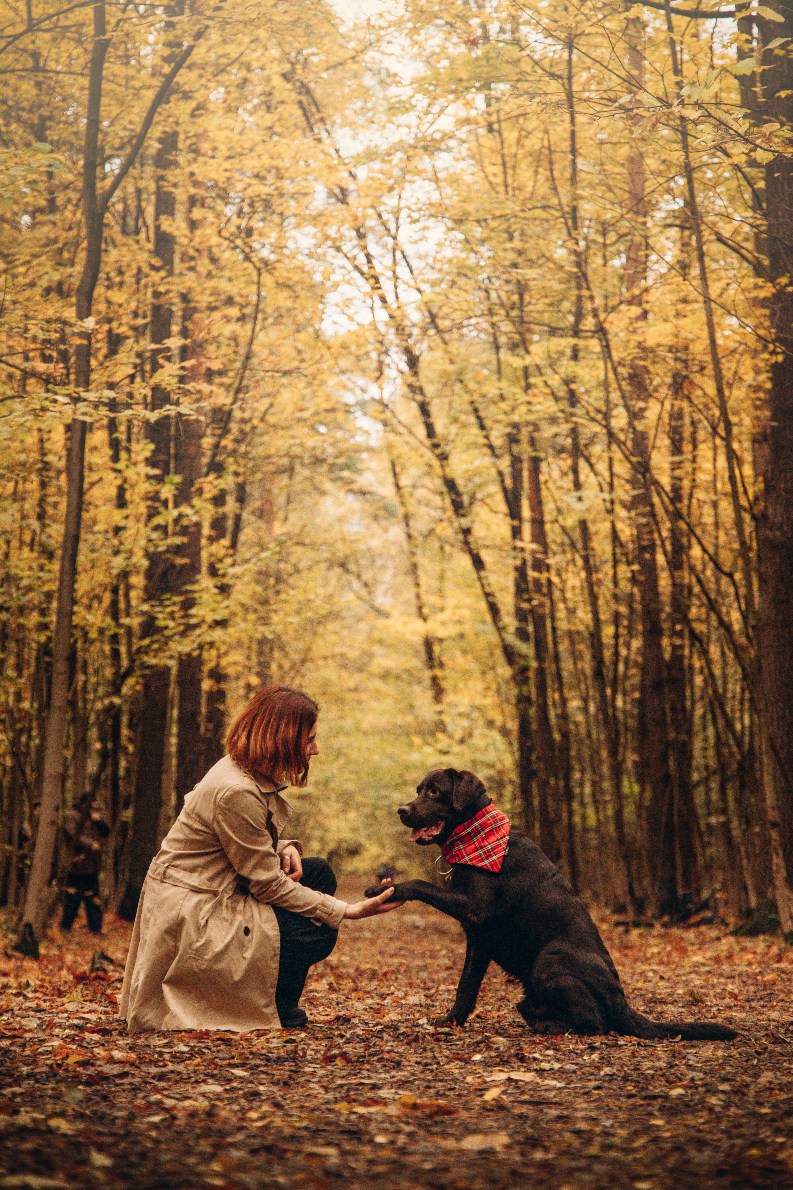 Арина и Сэмми. Фотограф — Анималист | Санкт-Петербург
