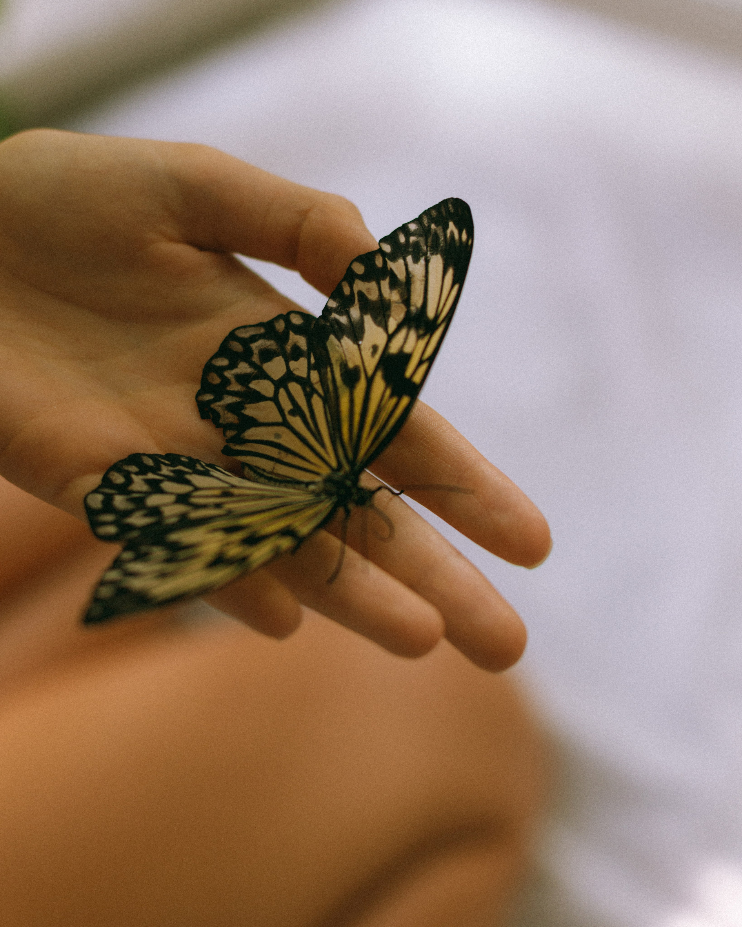 Oksana. Фотограф в Санкт-Петербурге Александра Юн