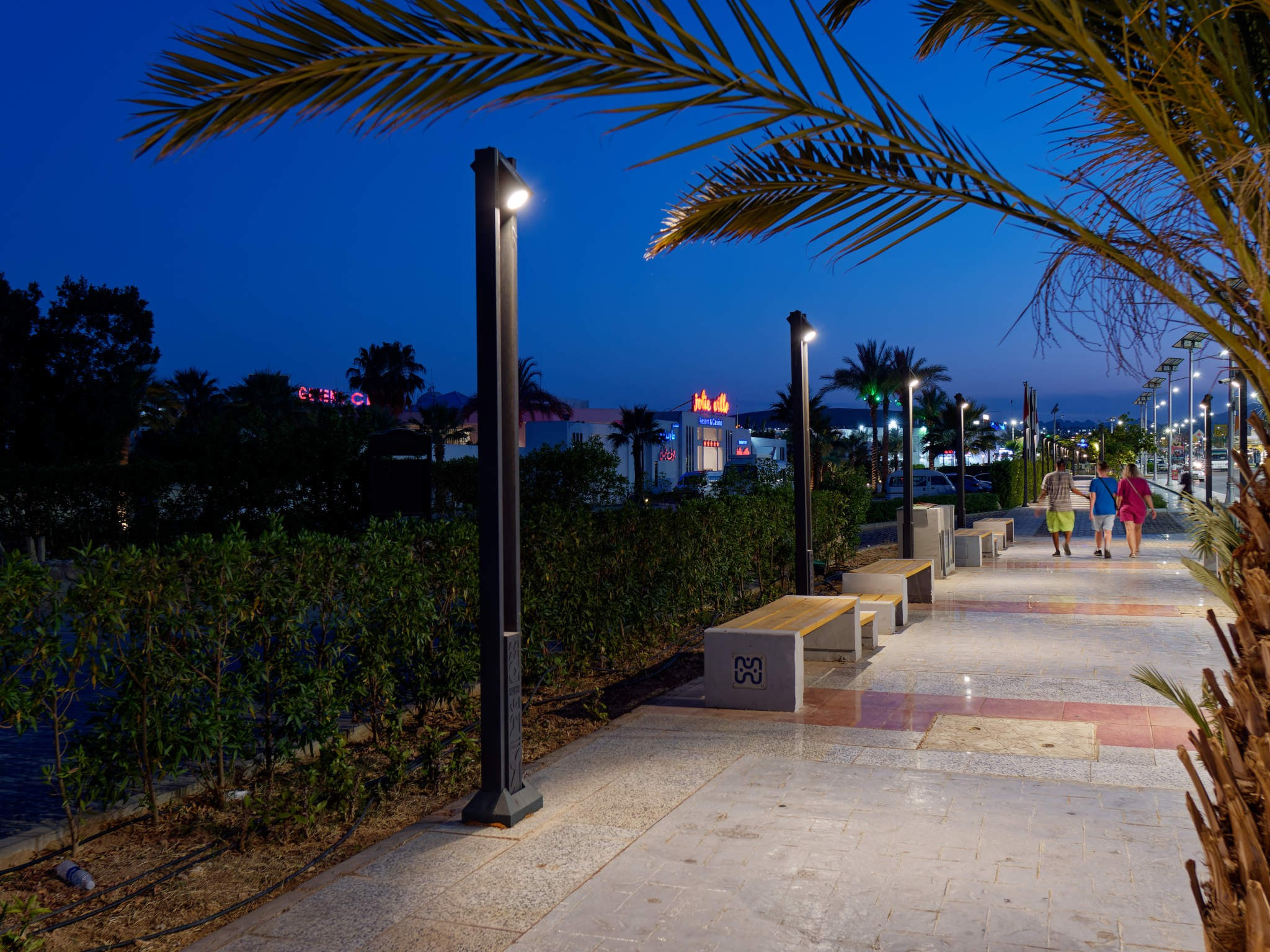 Шарм-эль-Шейх 2024. Избранные фотографии