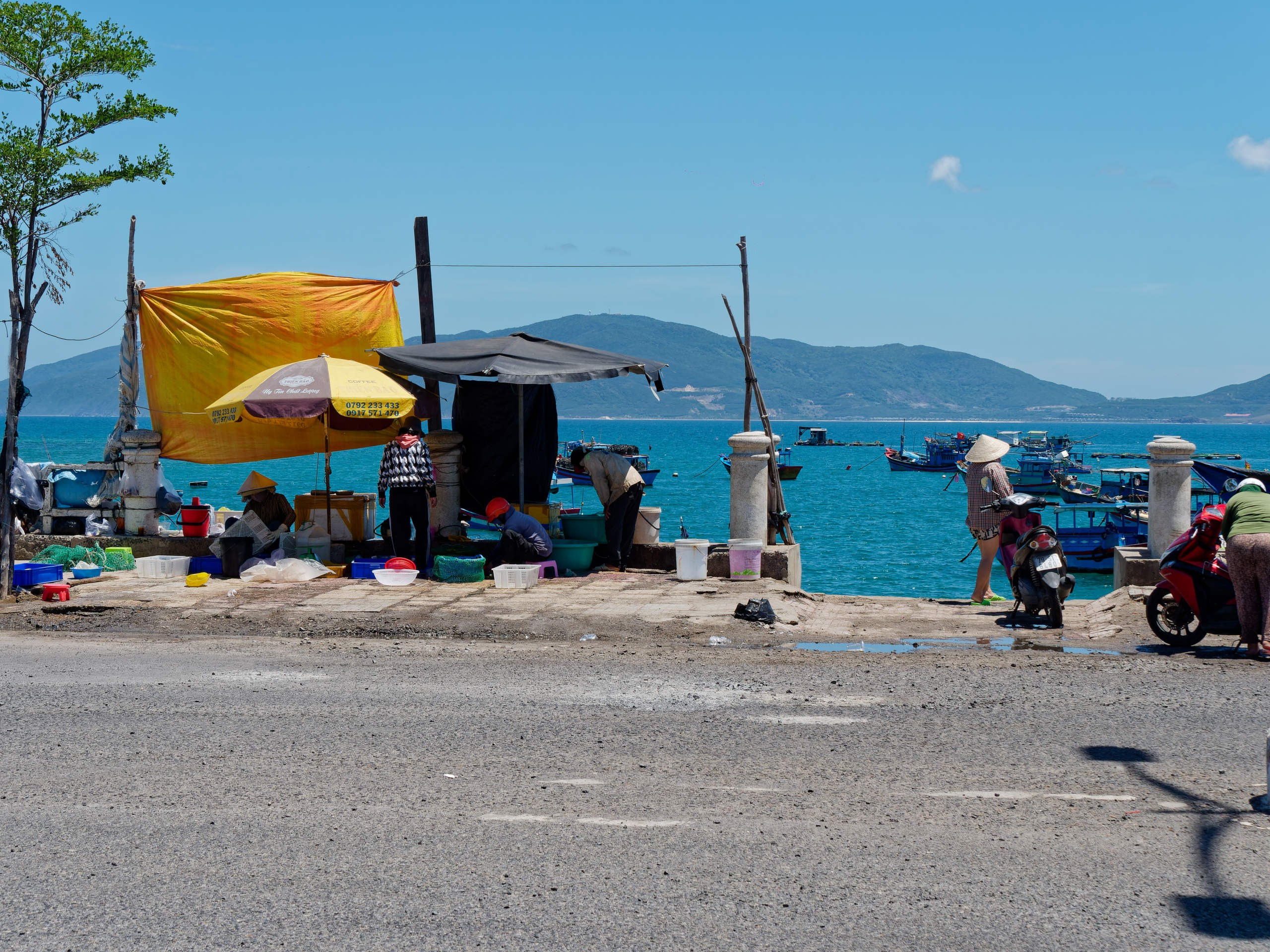 Нячанг 2025 (3). Избранные фотографии