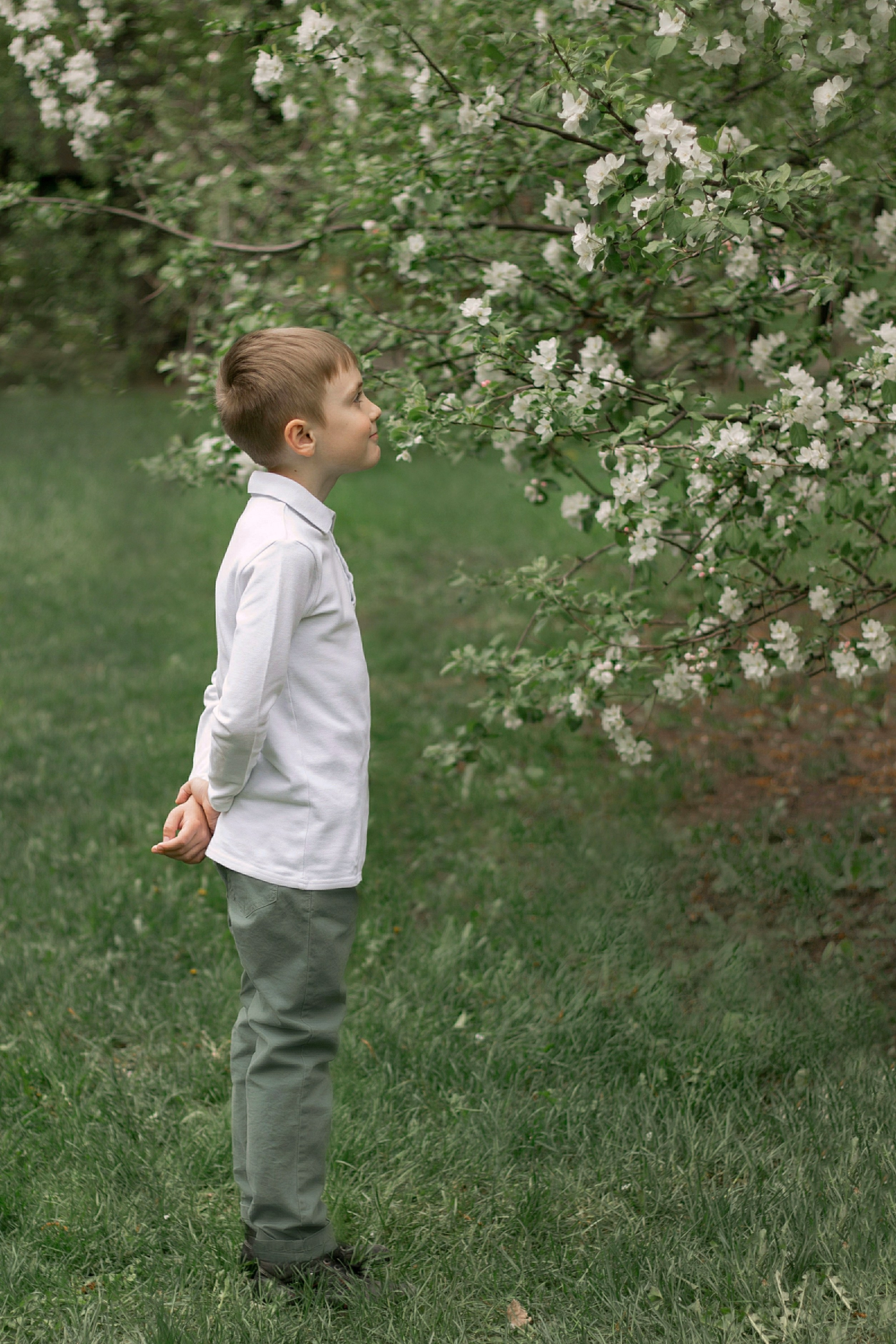 Съемка в цветении. Детский и семейный фотограф в Уфе Зинаида Вольштейн