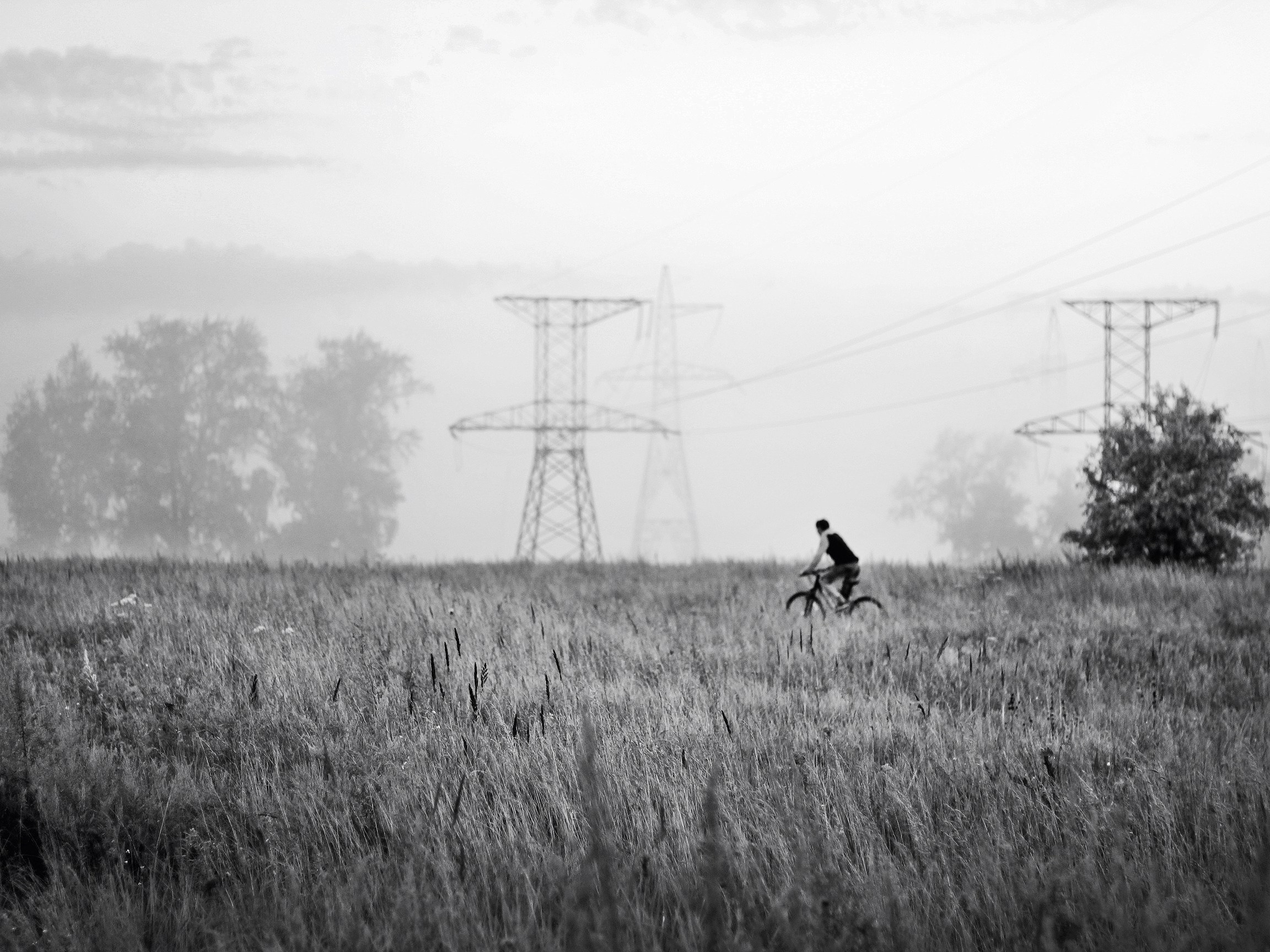 Фотографии Марины Бурнашовой