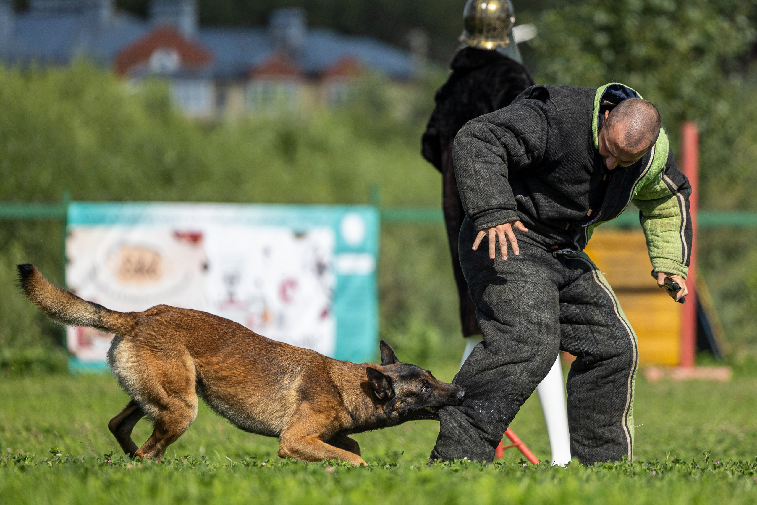 Соревнования по Мондьорингу г. Вологда 10-11.08.2024. Фотограф-анималист Анна Маринич