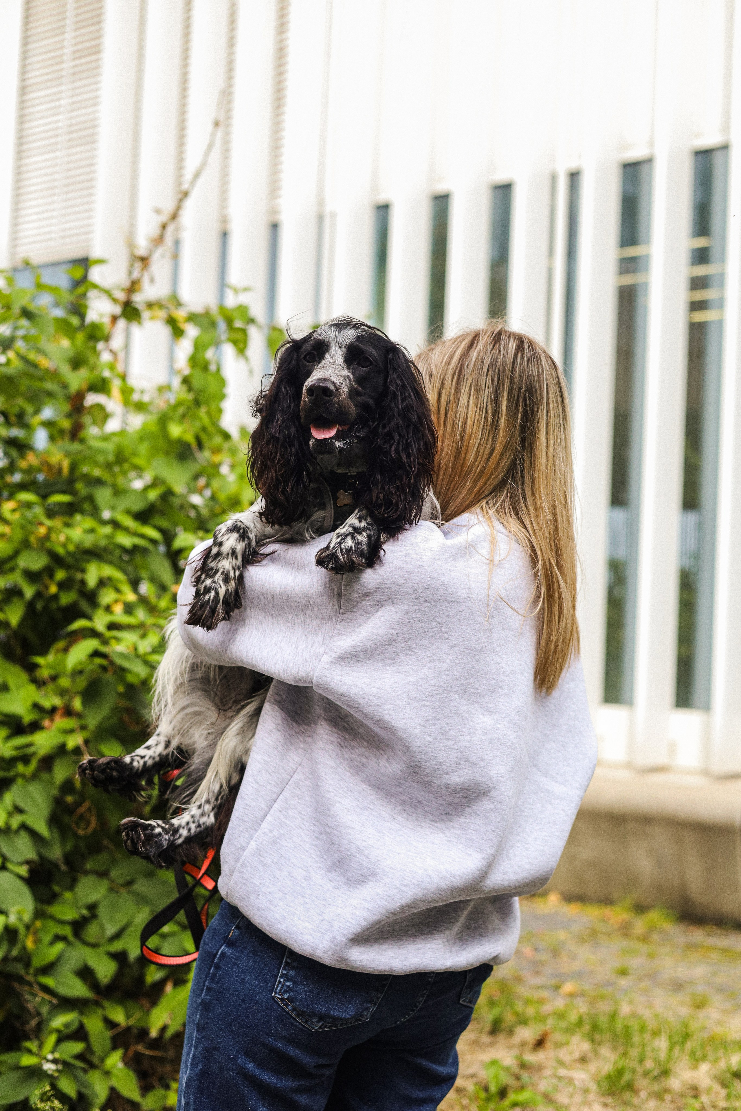 Купер и его семья. Фотограф-анималист Ксения Шевцова|Москва