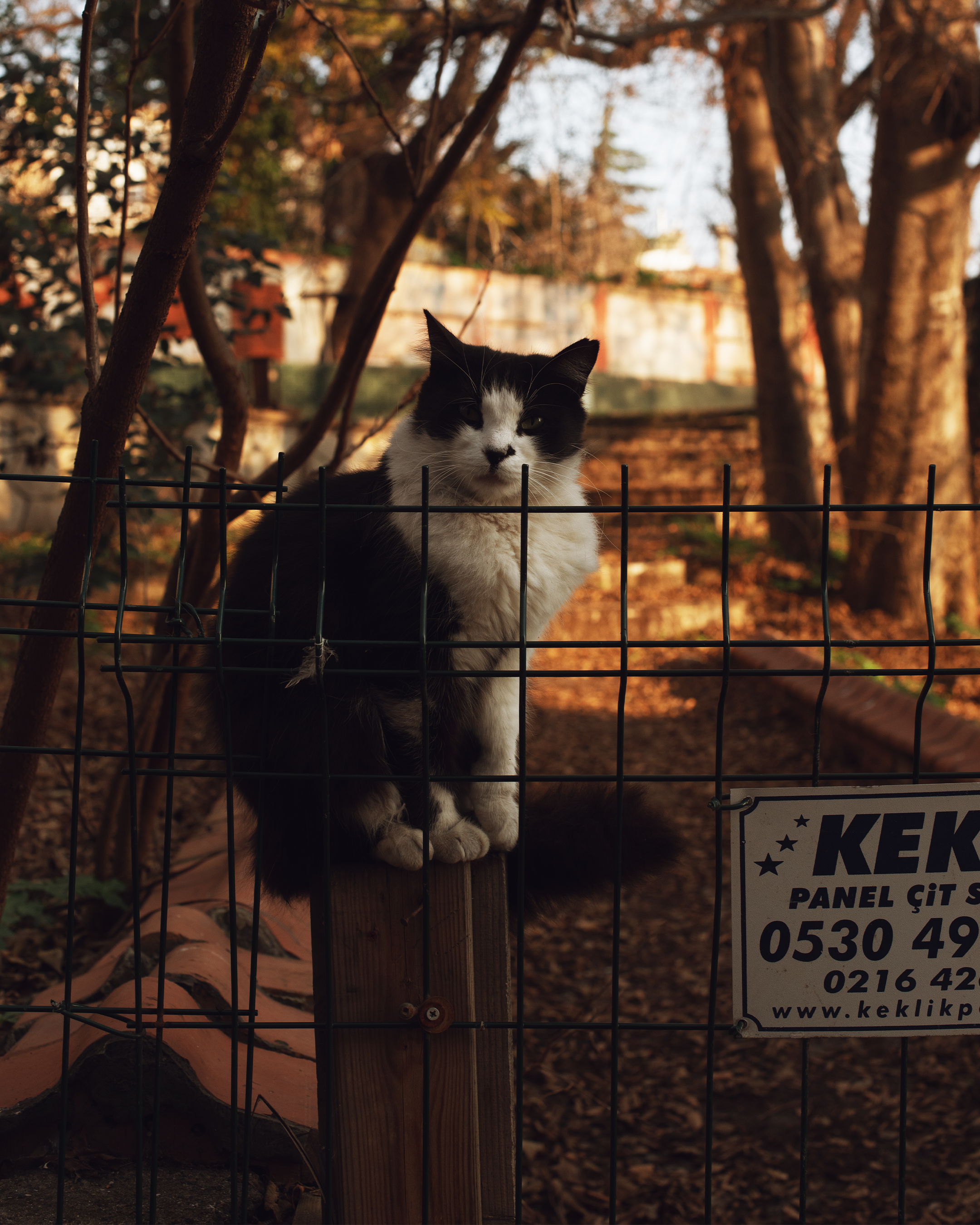 Путешествие по Стамбулу: истории в каждом кадре. Коммерческий и предметный фотограф в Гуанчжоу Коваленко Александр