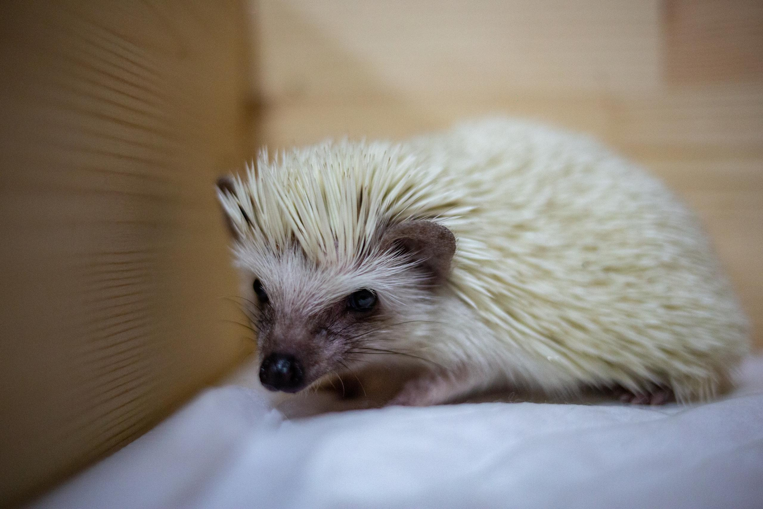 ТАЙМ-КАФЕ «ЕЖЕМИНУТКА». Photographer Sonkina Tatiana (Tanya Ash)