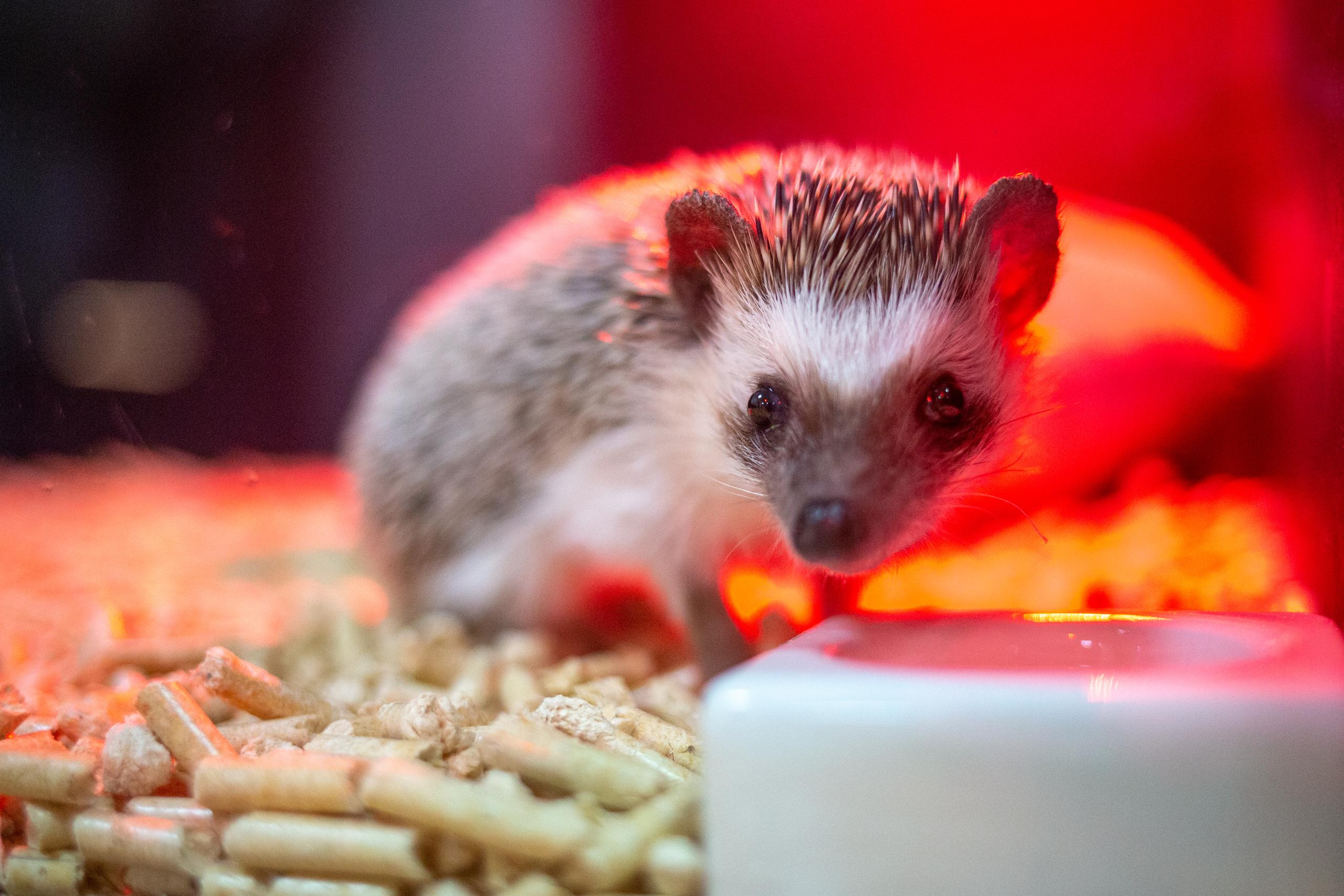 ТАЙМ-КАФЕ «ЕЖЕМИНУТКА». Photographer Sonkina Tatiana (Tanya Ash)