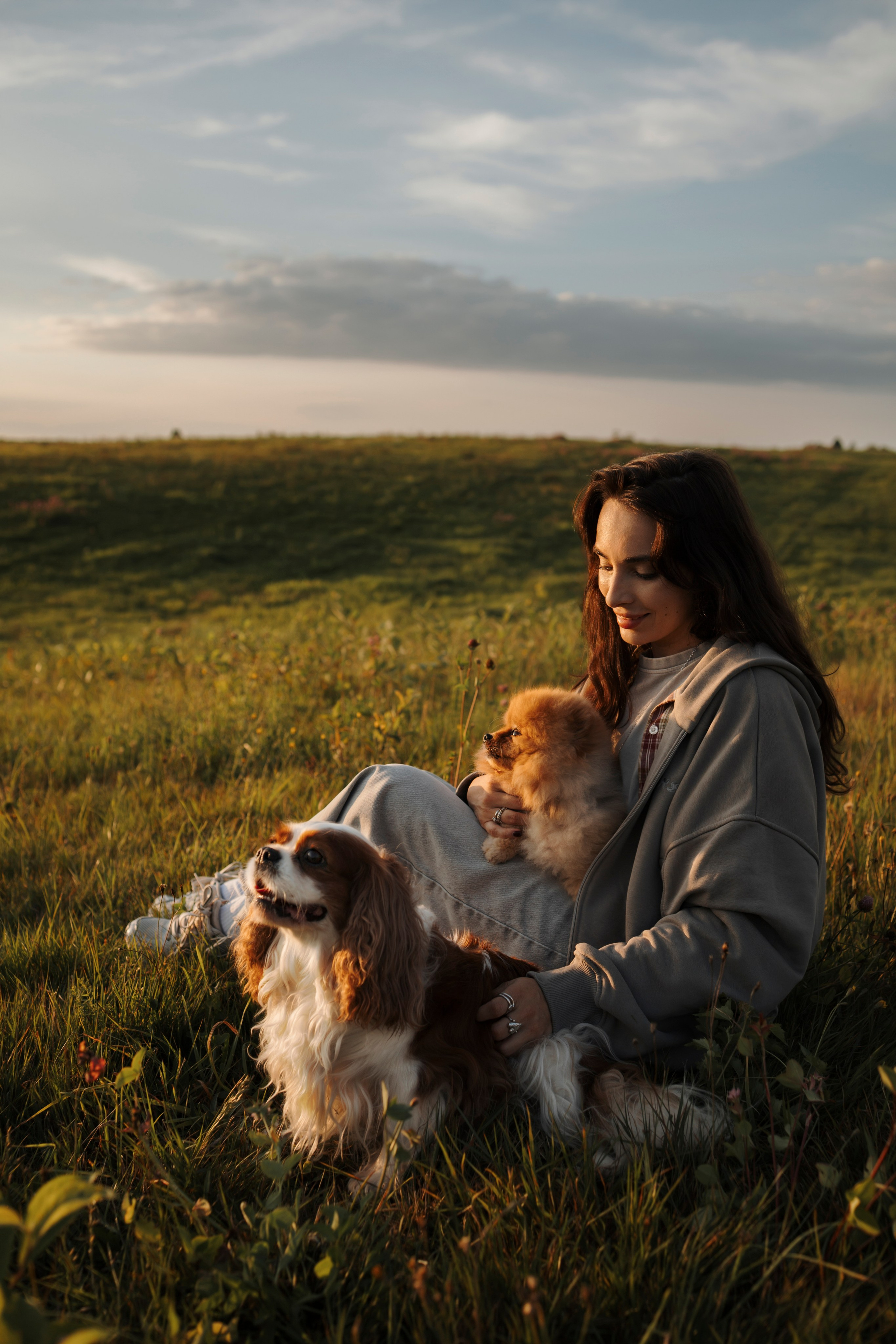 На закате Катерина, Луна и Рикки. Фотограф-анималист в Санкт-Петеребурге Титова Алиса