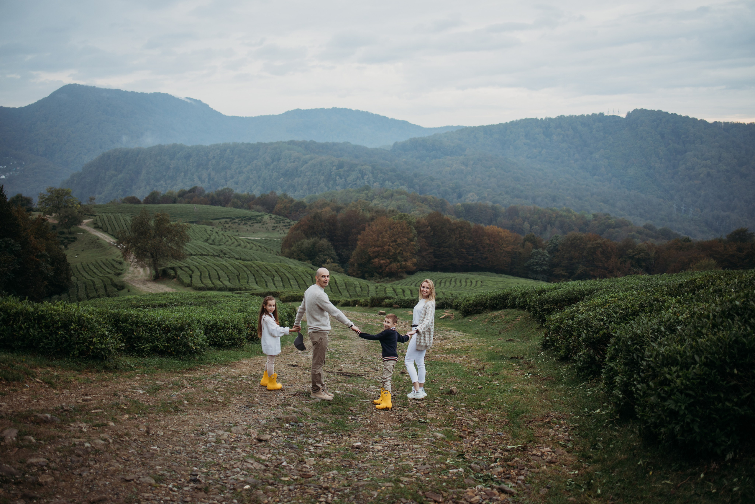 Чайные плантации мацеста. Фотограф Сочи Татьяна Зорина