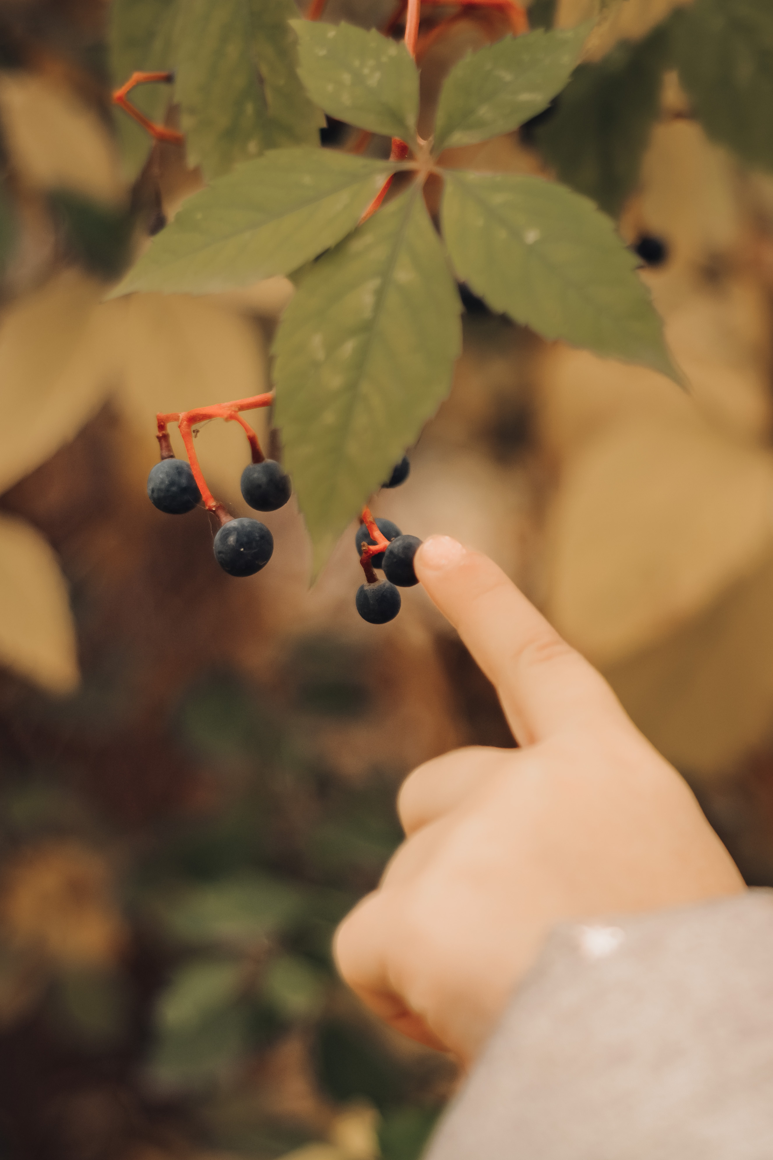 Осенняя прогулка Анастасия и Соня. Семейный и детский фотограф Кущ Наташа