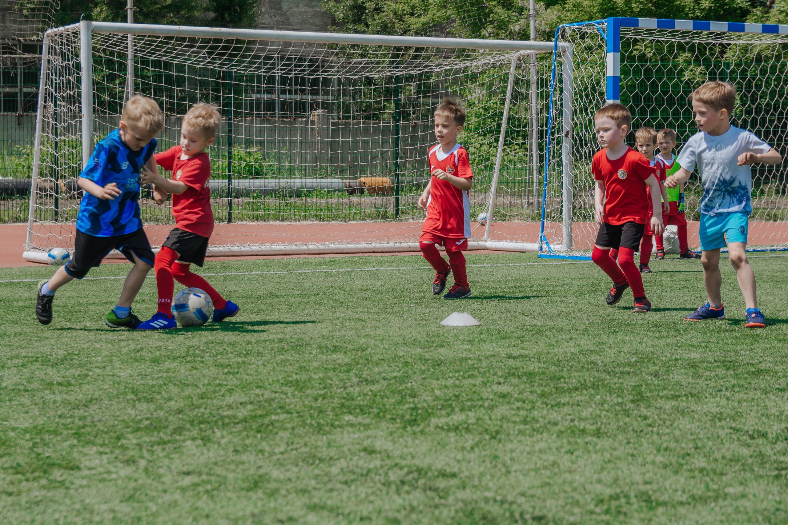 Летнее первенство ФК Звезда. Семейный и детский фотограф Кущ Наташа
