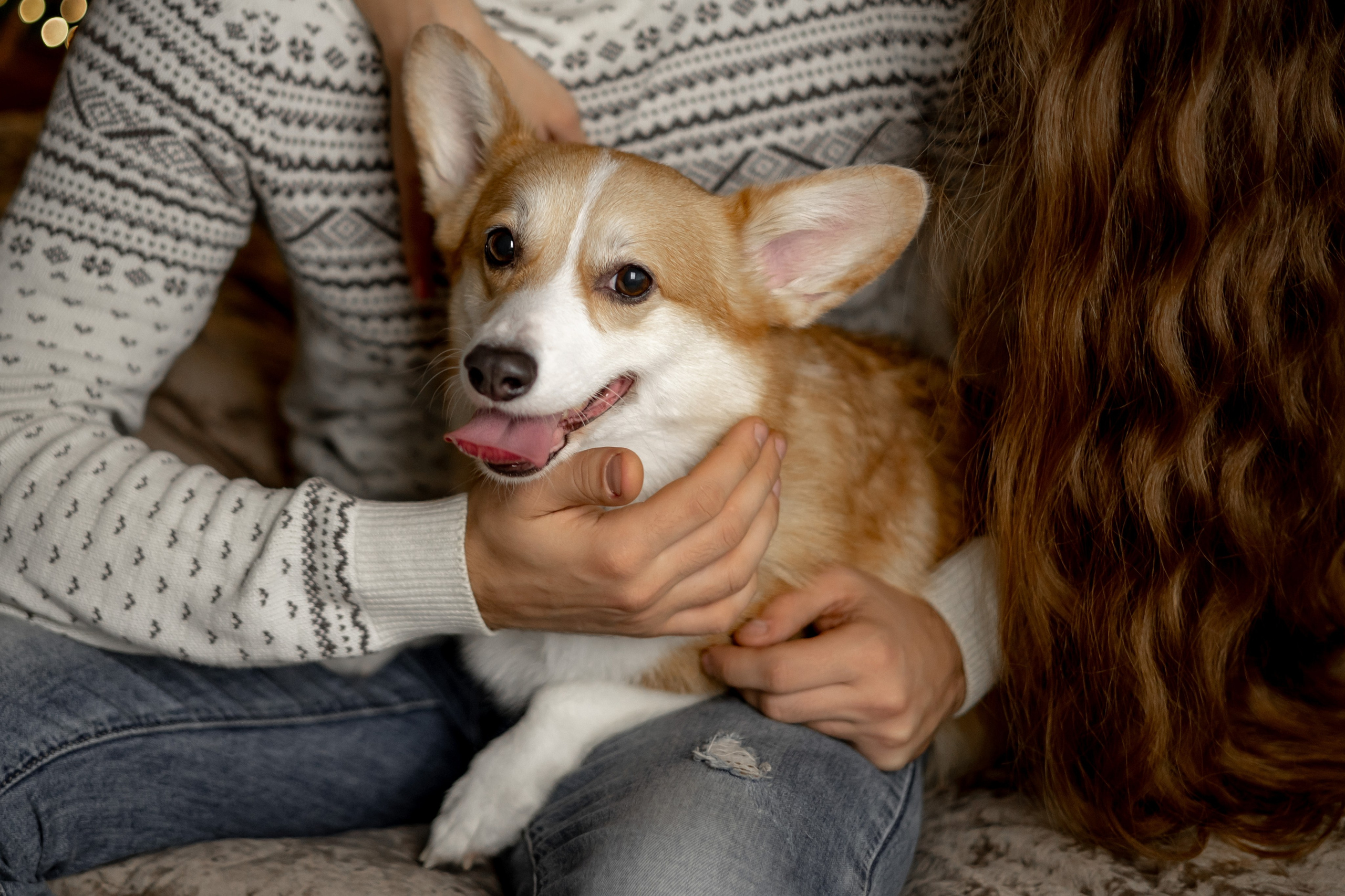 Новогодний хвостик. Свадебный и семейный фотограф в Севастополе и в Крыму Анастасия Корчак