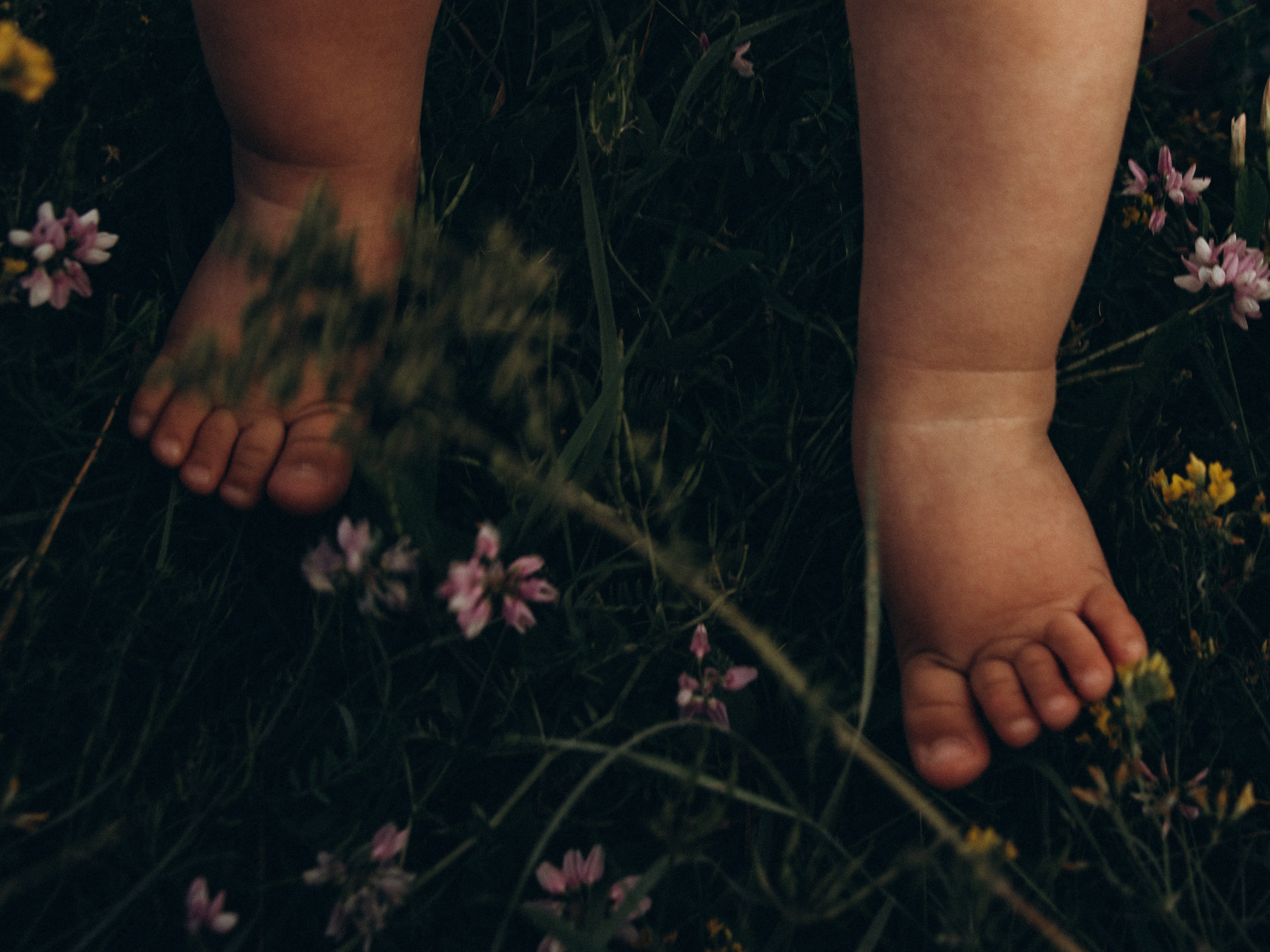 Прогулочная фотоистория. Фотограф Любовь Подосенова Липецк|Воронеж