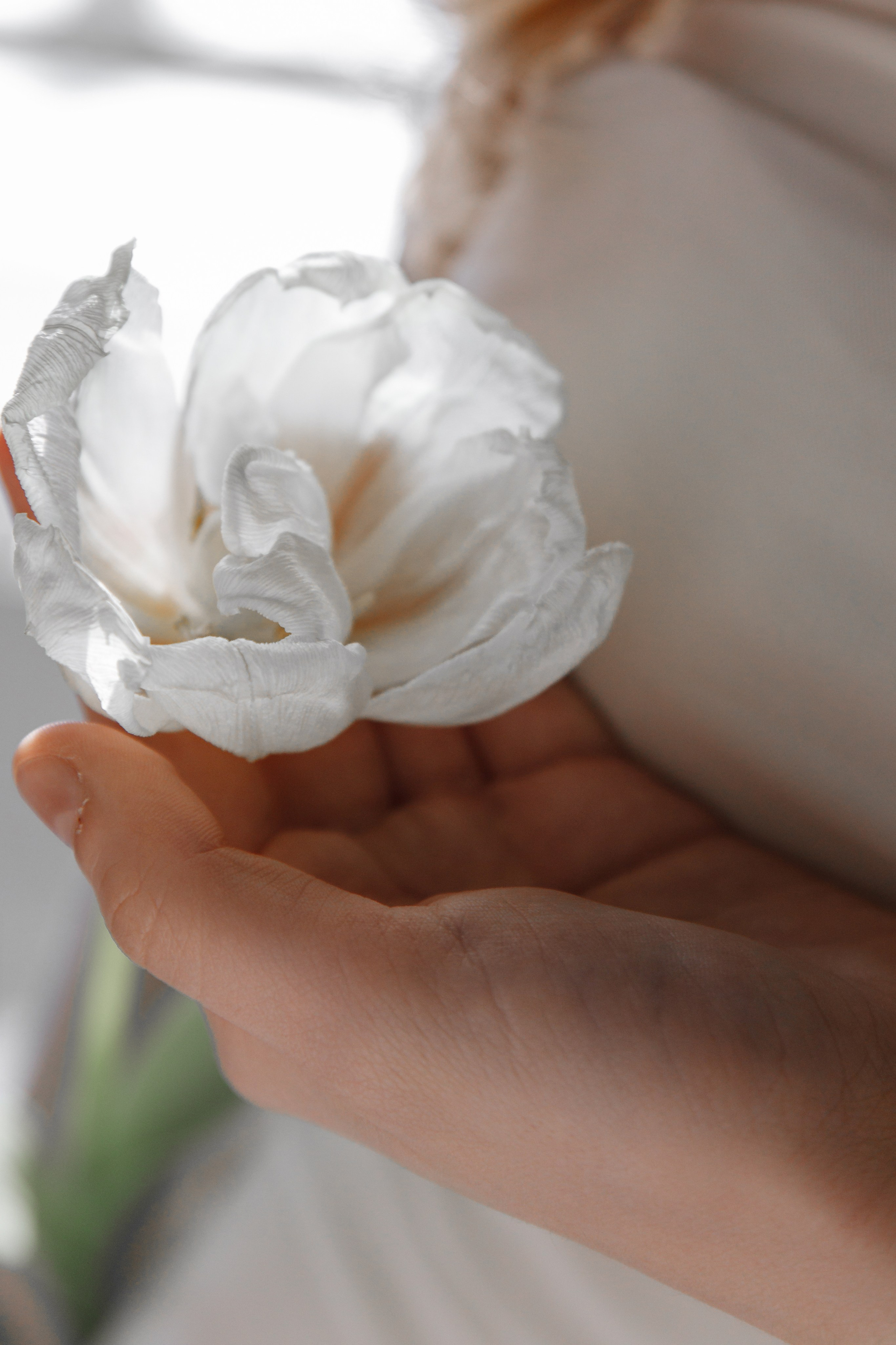 Pure. Главная