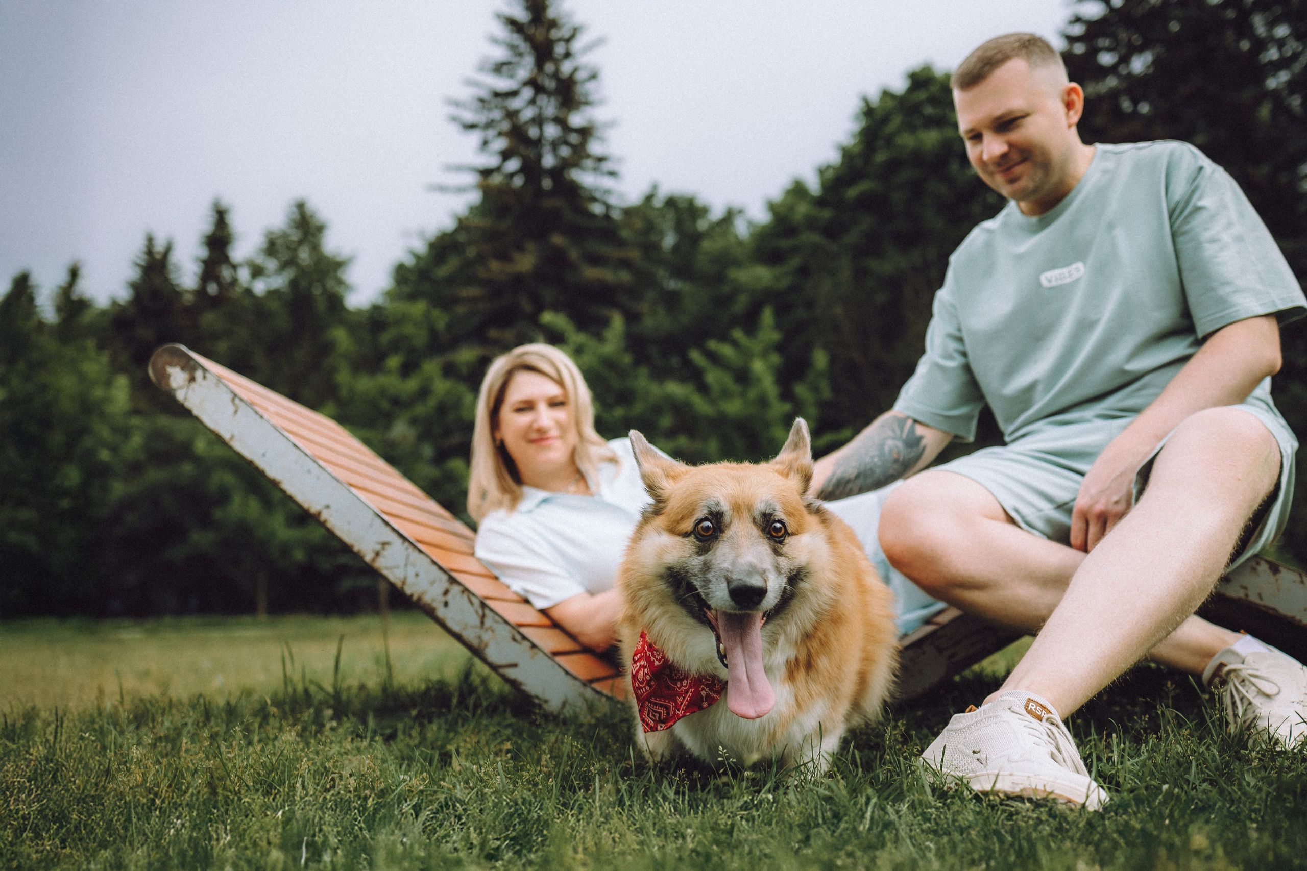 Ира, Леша и Харли