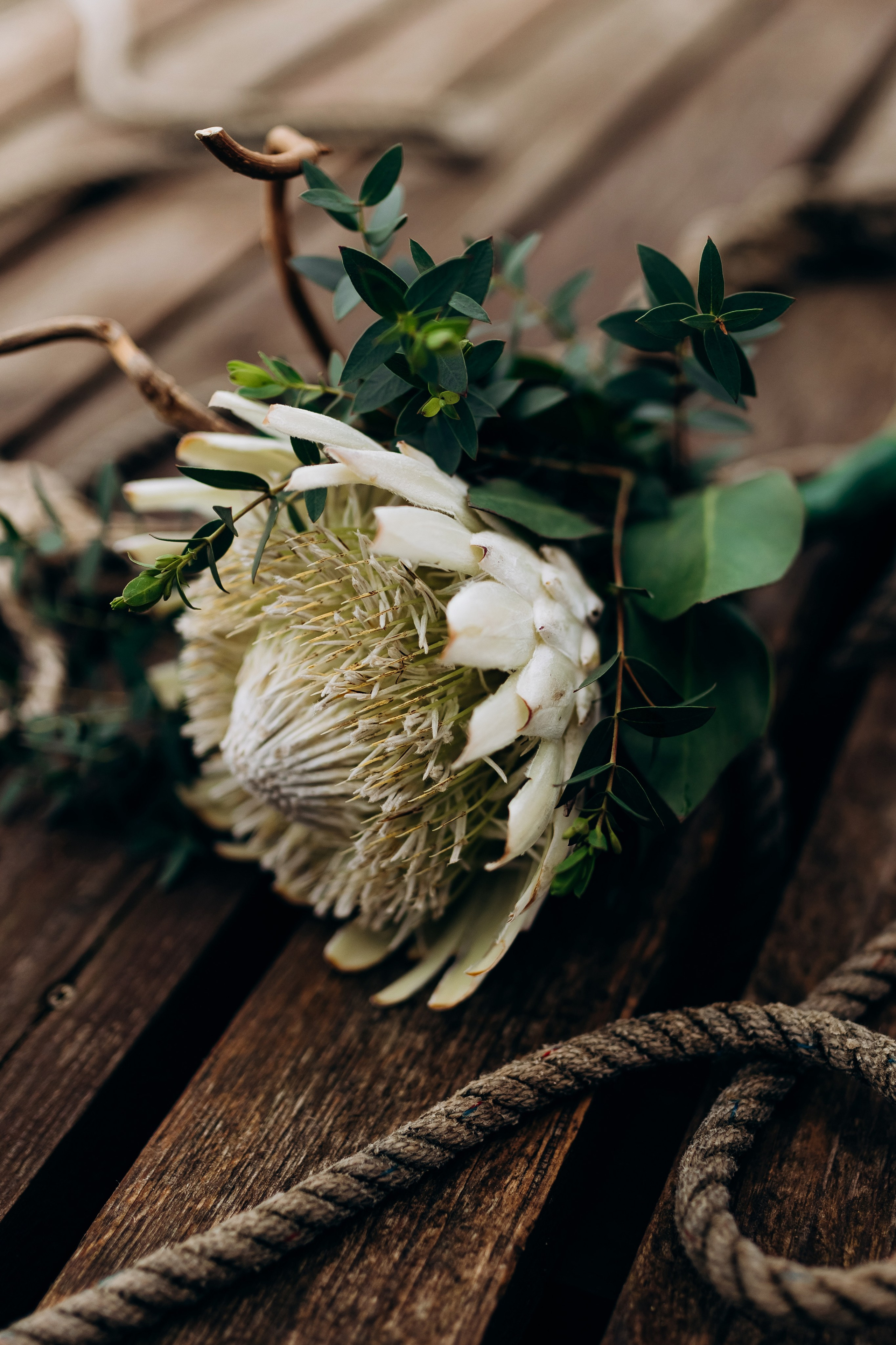 Катя и Андрей. Фотограф ВИКА МЕДУЗА