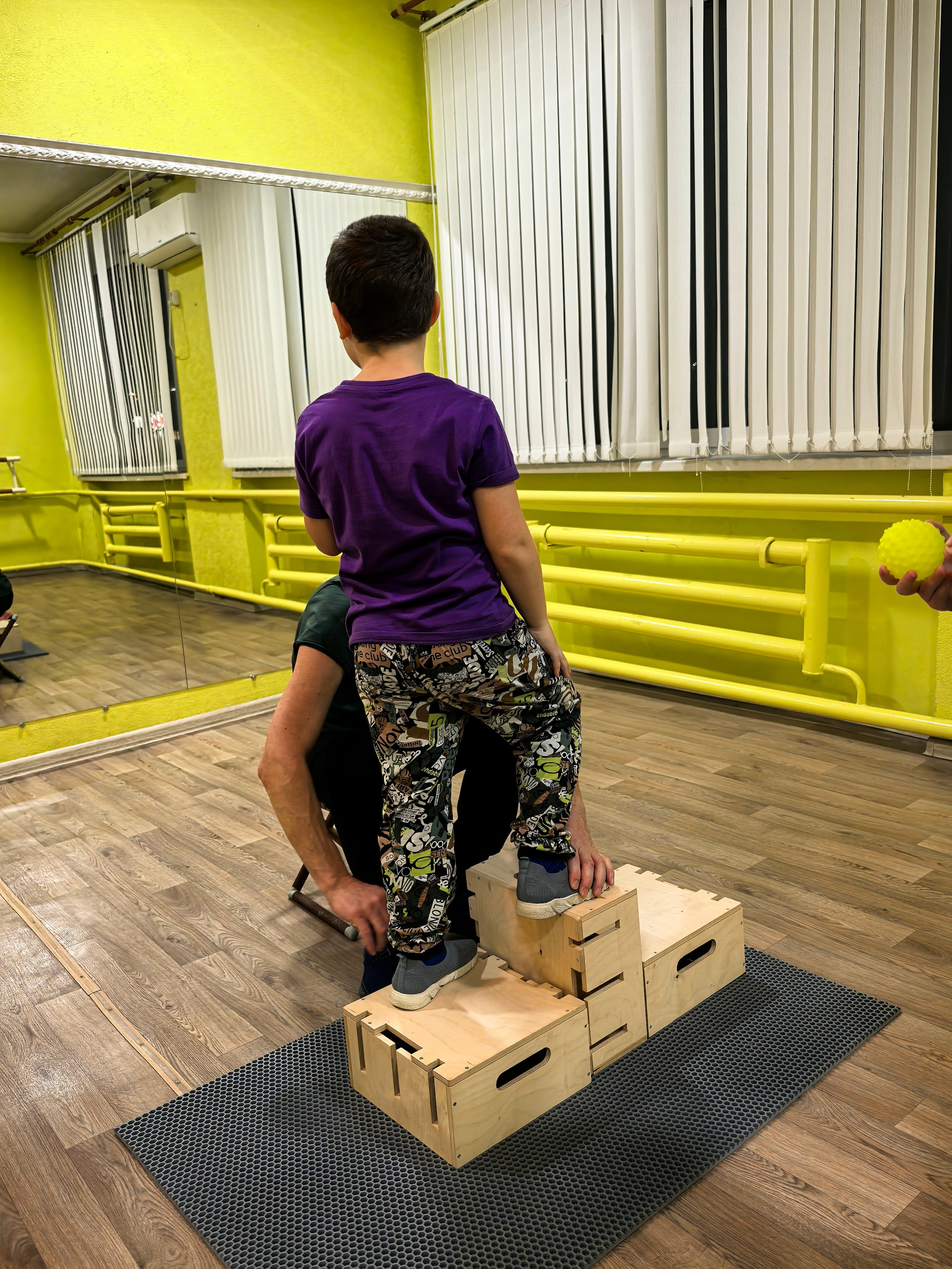 Что такое СМЕ-терапия и чем она поможет именно вашему ребенку?. АНО «Центра социальных проектов «Путь в большой мир»