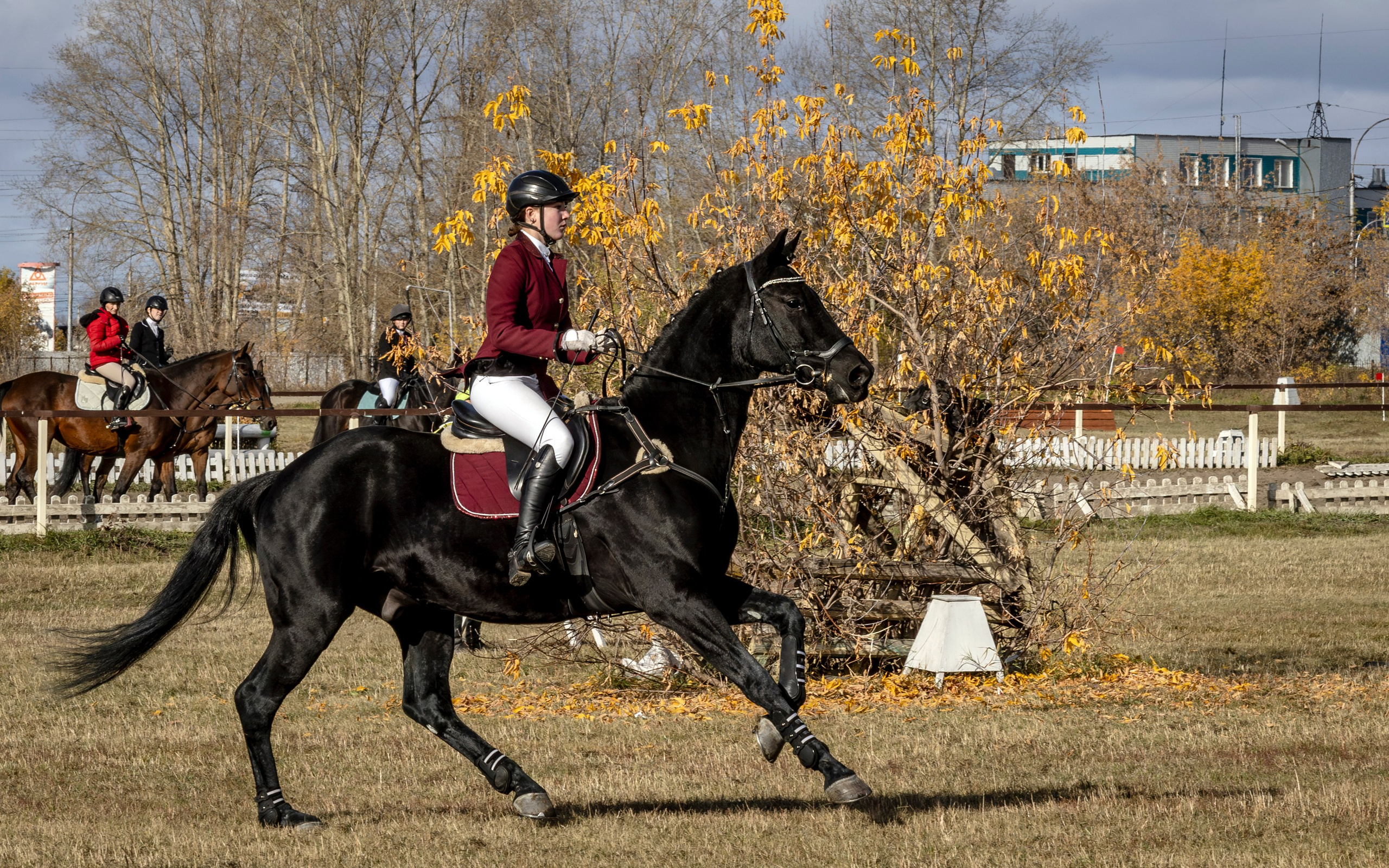 Конкур. Bertran Ordo
