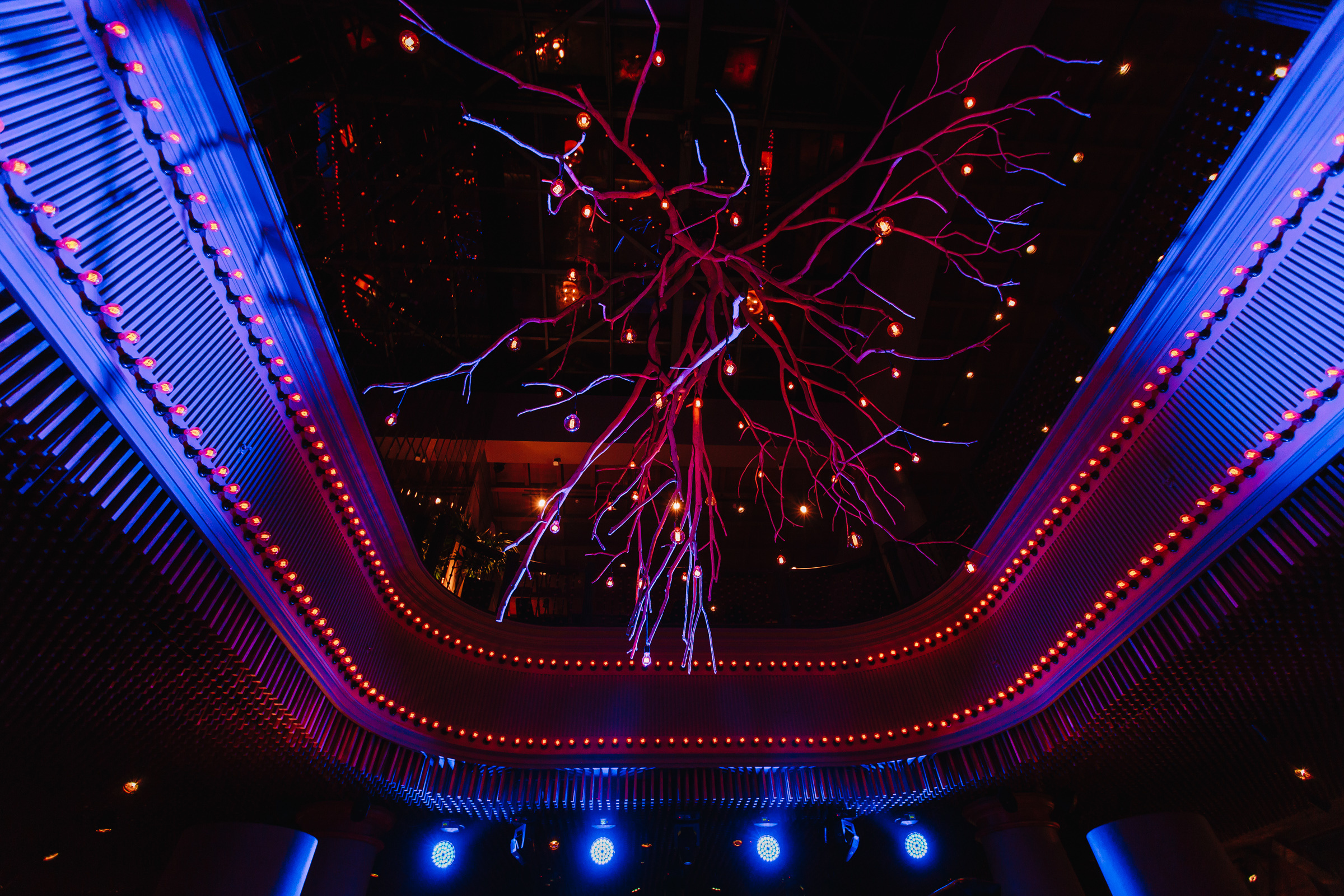 Гастроужин в ресторане ДОМ. Репортажный Фотограф в Сочи и Москве Алексей Орлов