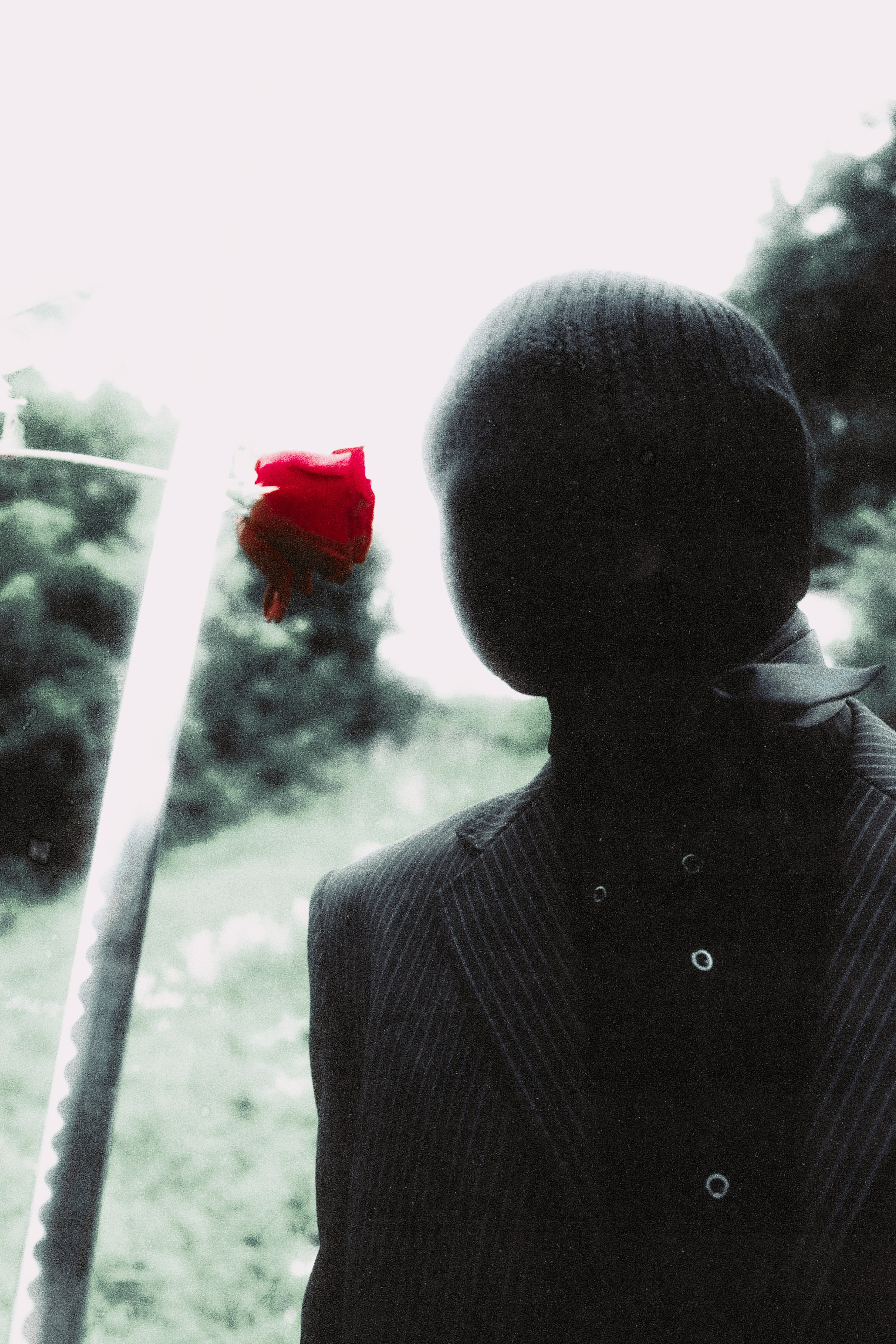 Любовь к ботанике. Фотограф Тимур Хайруллин