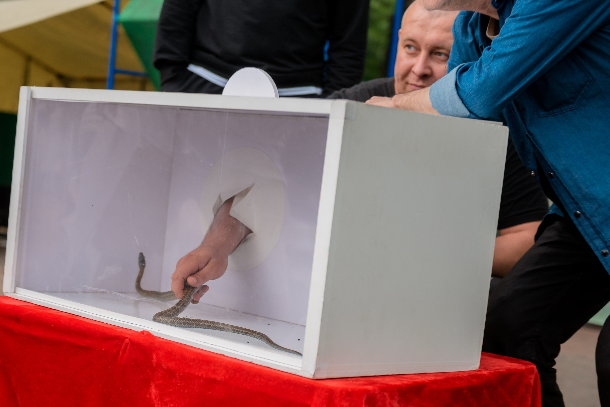 12 Июня 2024. Детский фотограф, семейный фотограф и репортажи в Кемерово