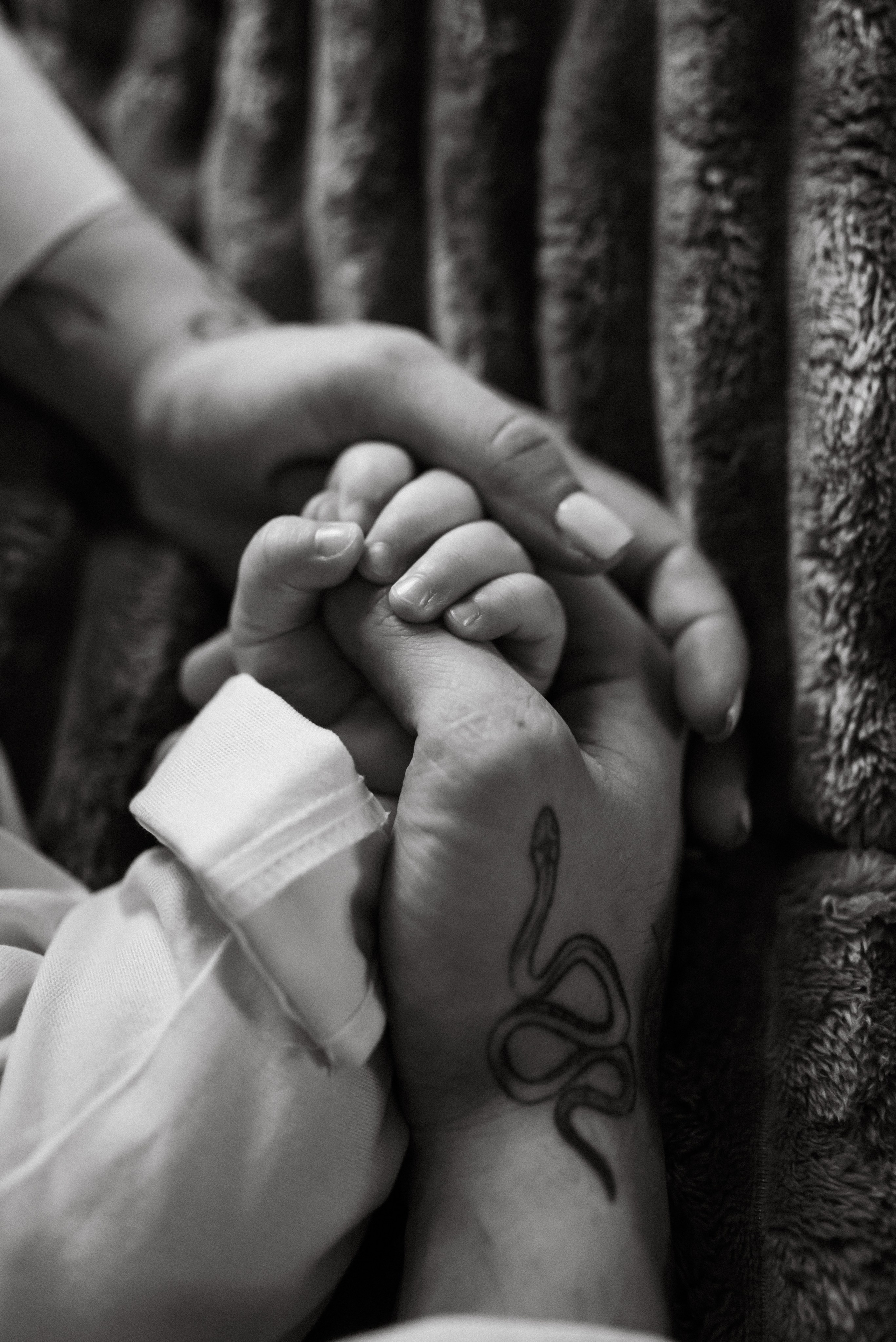 Годовасие. Фотограф Ксения Огородова портфолио