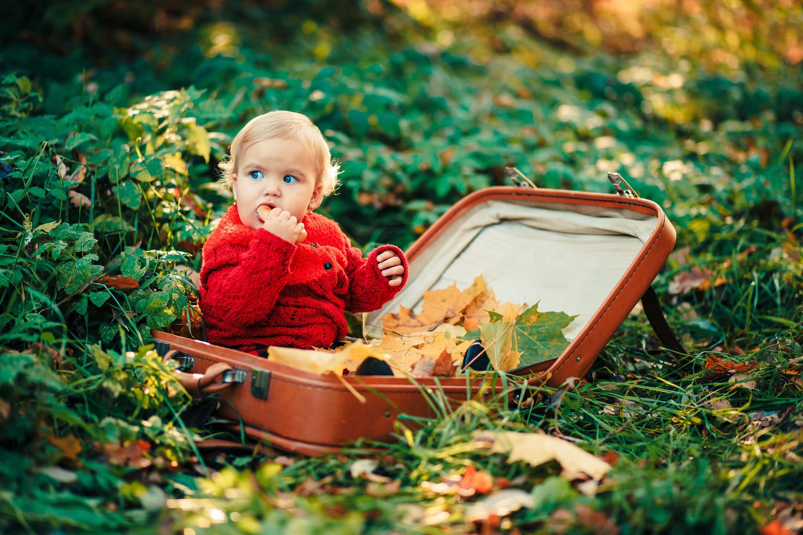 Детская съемка. ФОТОГРАФ/ Беларусь Светлогорск