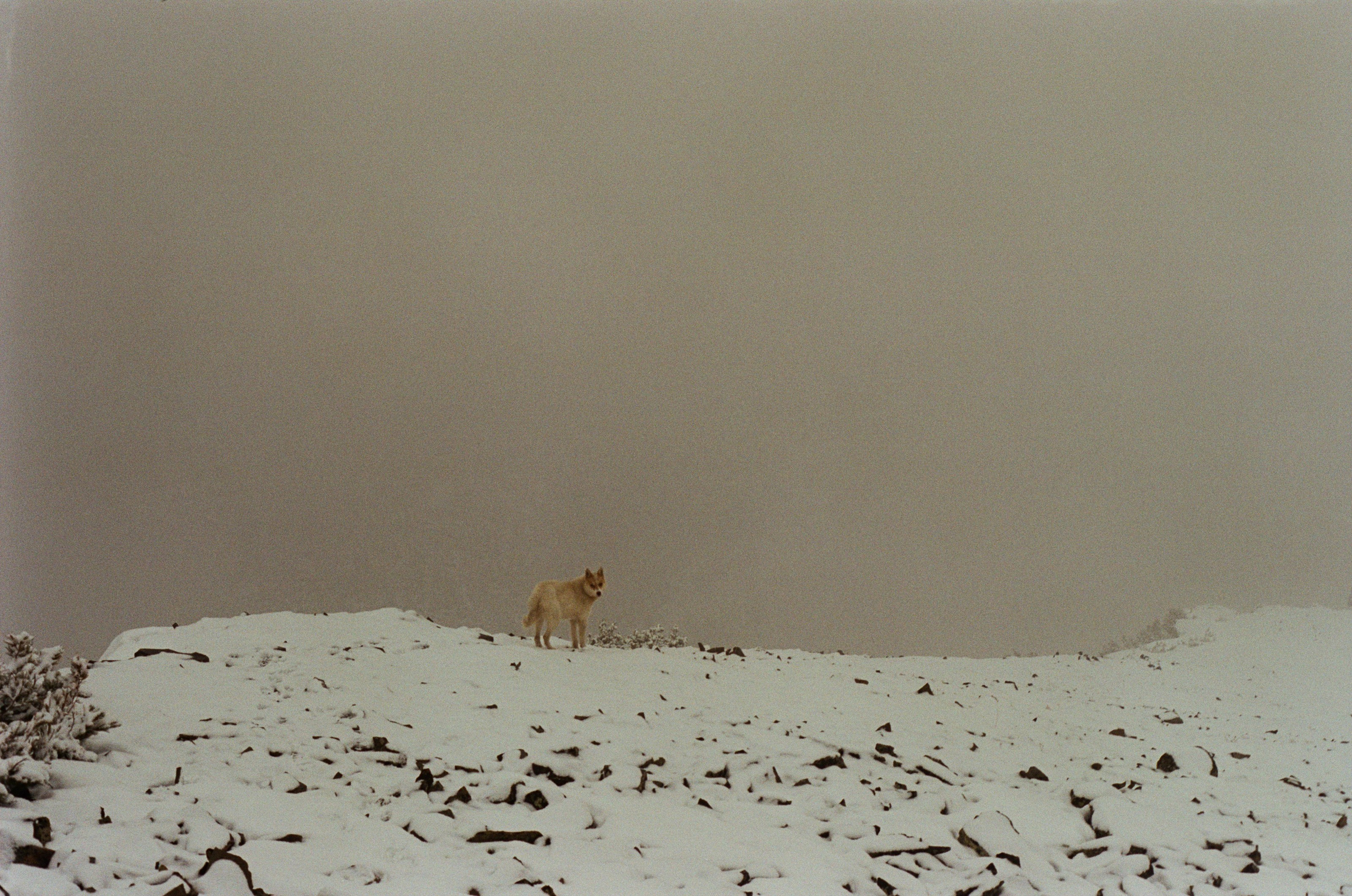 Не забудь накормить озеро. Natalya Madilyan