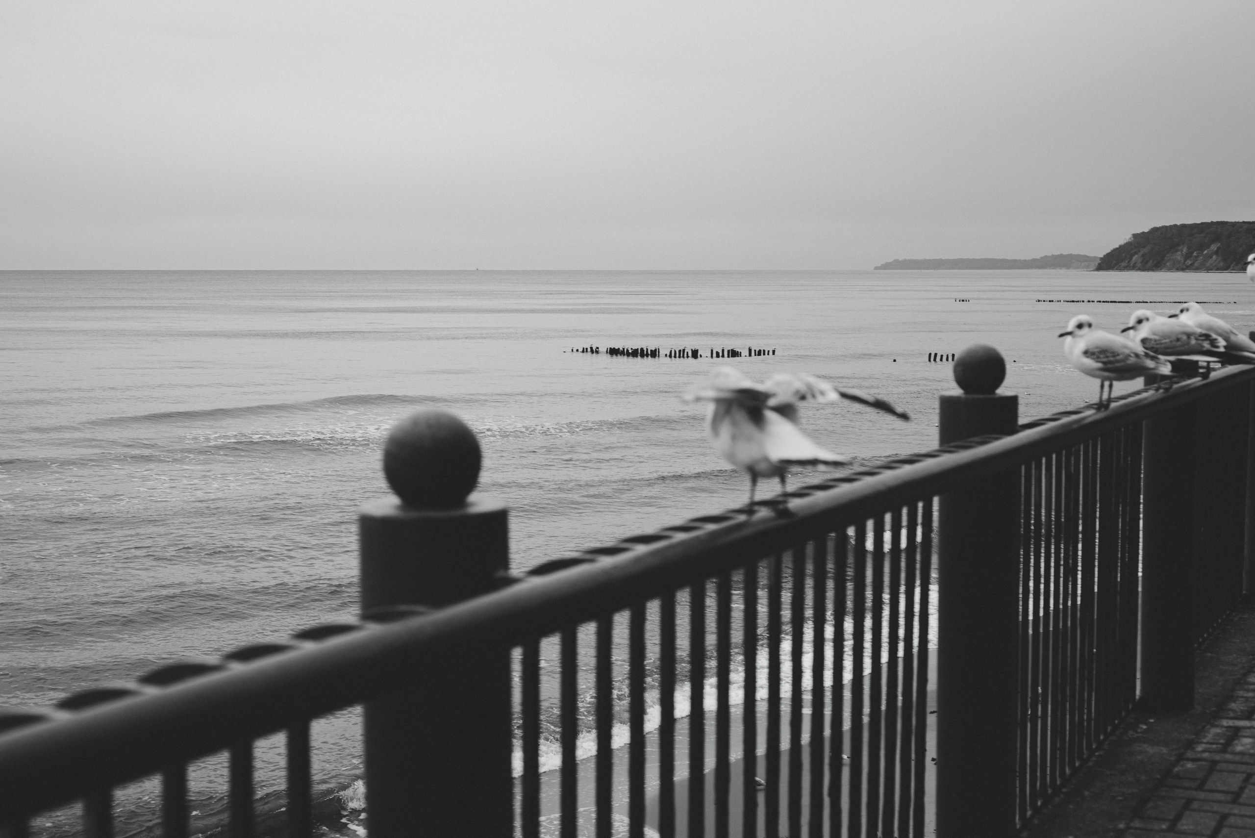 Калининград и его область: через объектив рекламного фотографа из Гуанчжо. Коммерческий и предметный фотограф в Гуанчжоу Коваленко Александр