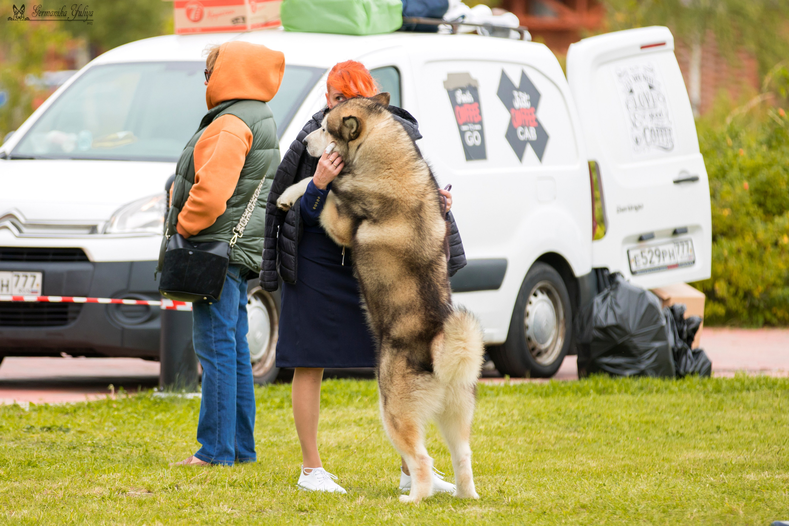 Переславль 9-10.09.2023. Фотограф-анималист Юлия Германика