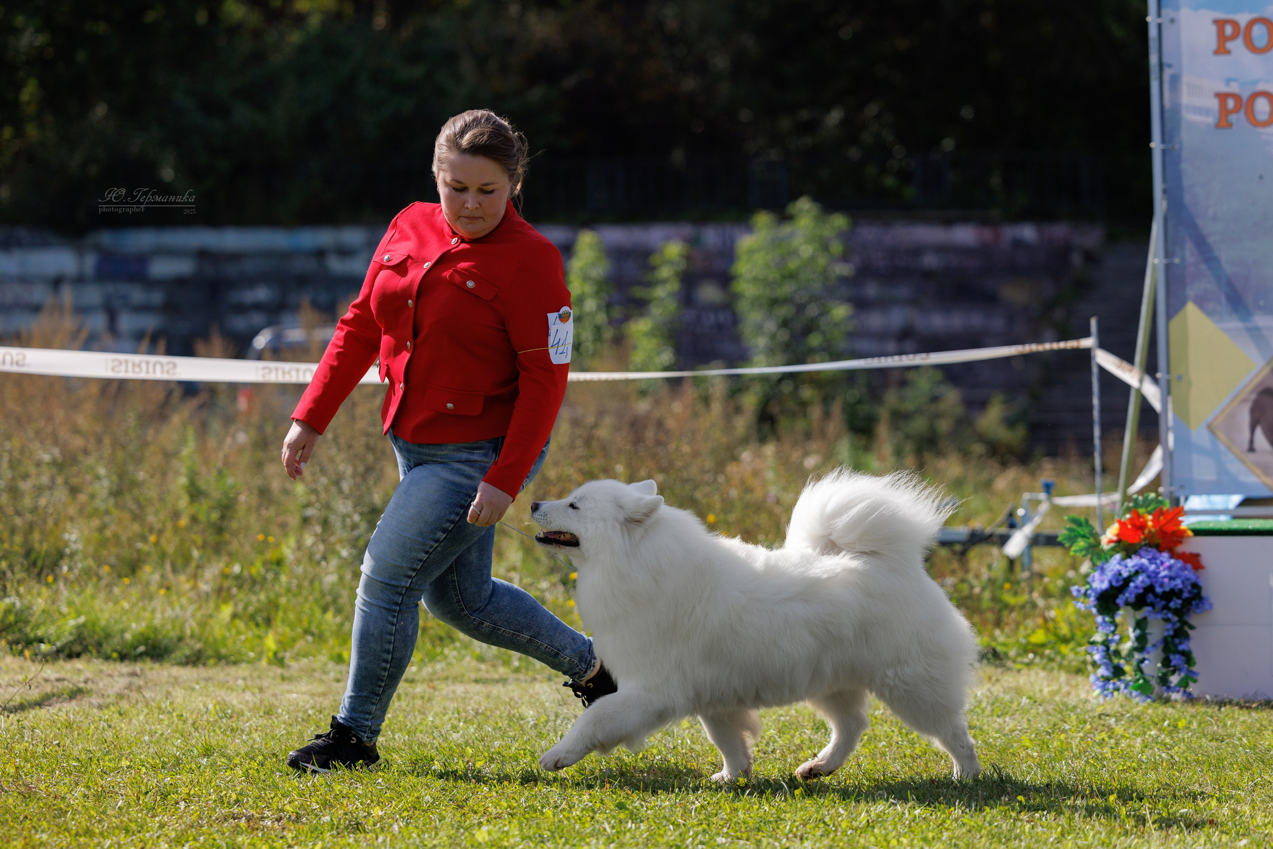 Зеленоград 13.09.2025. Фотограф-анималист Юлия Германика