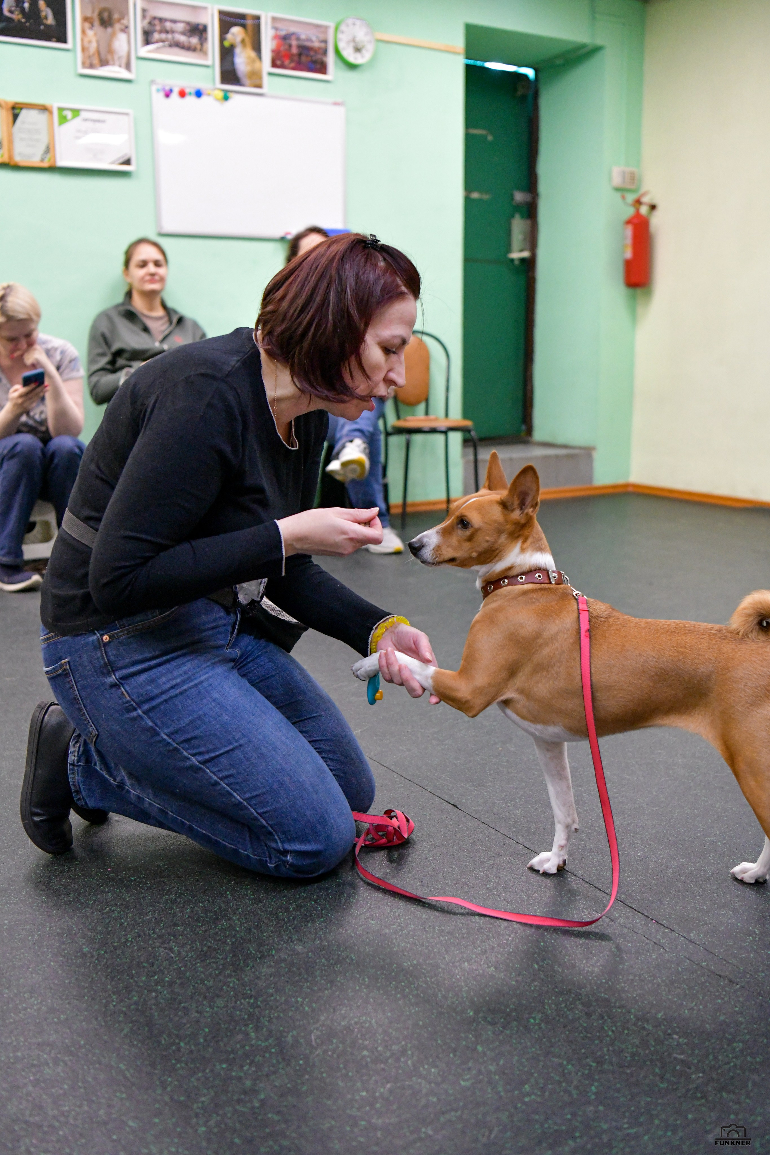 Кинологический клуб «Бодрый хвост». Свой взгляд через объектив
