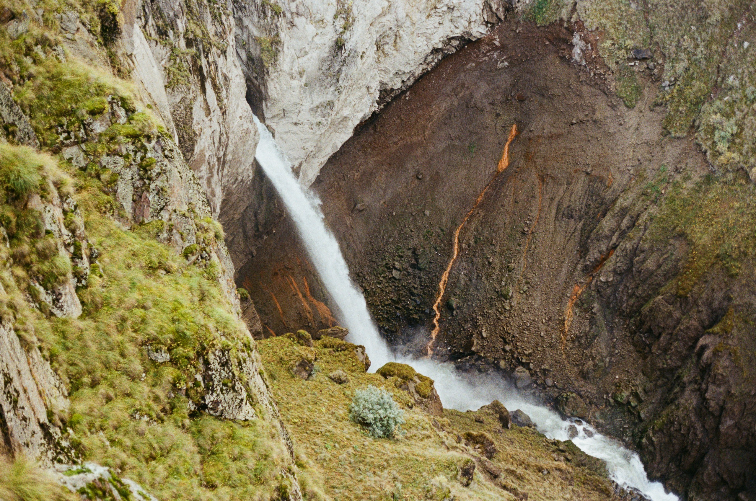 Пленочная фотография. Фотограф в Ростове-на-Дону