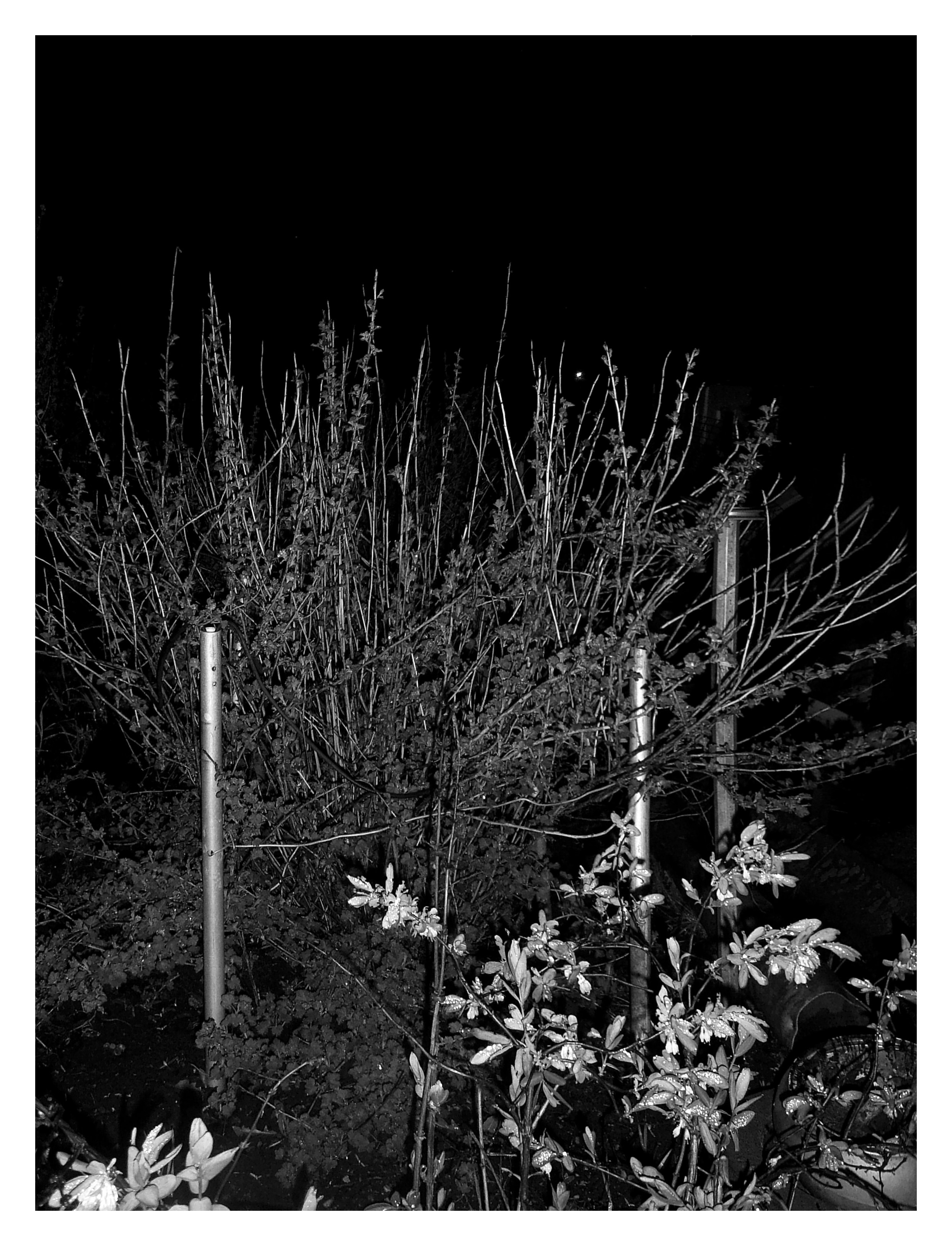 ДАЧА. Фотограф Манакова Ольга