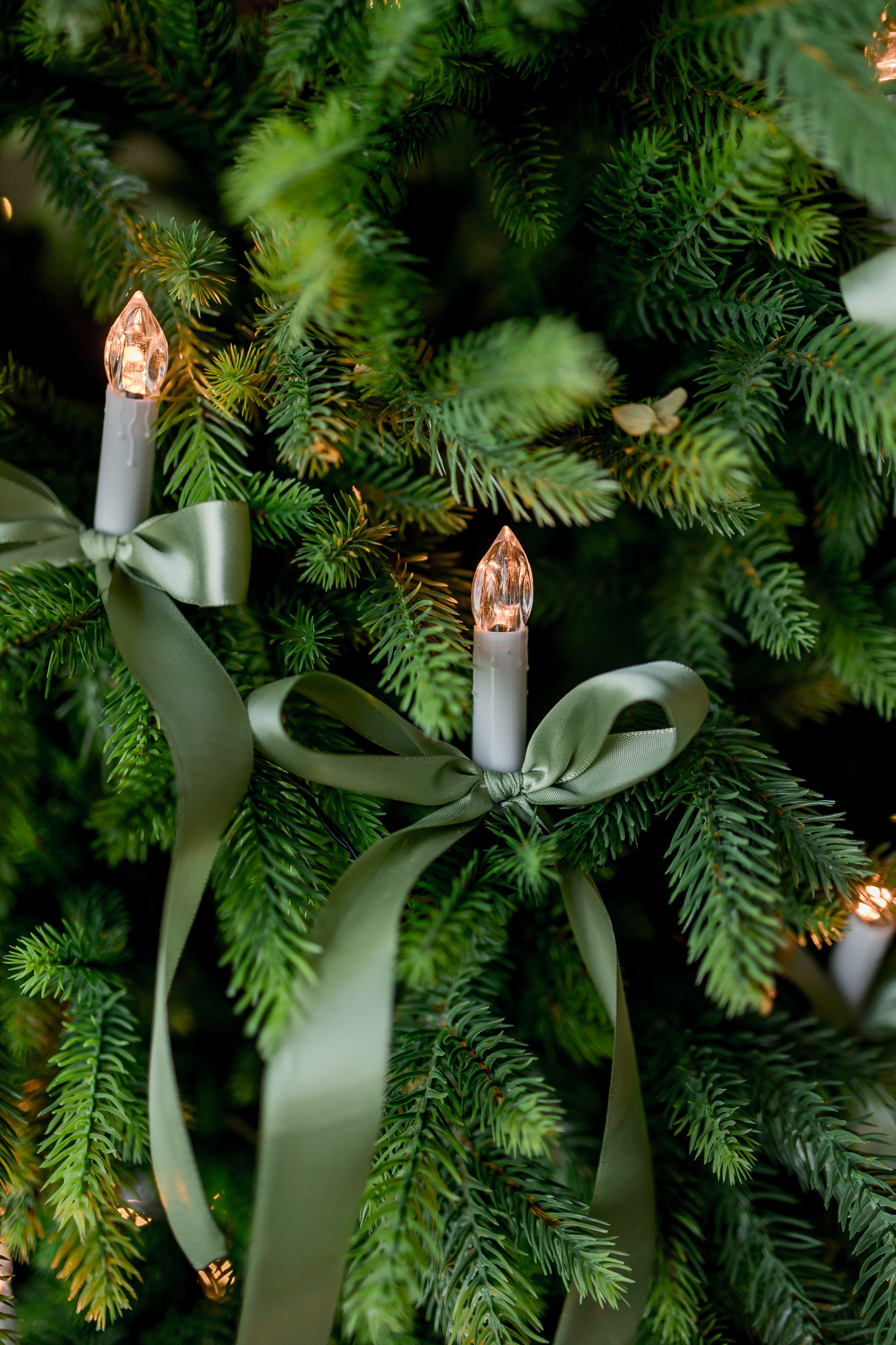 Большой (СЕМЕЙНЫЙ) зал. Фотостудия ЭМБЕР город Артём