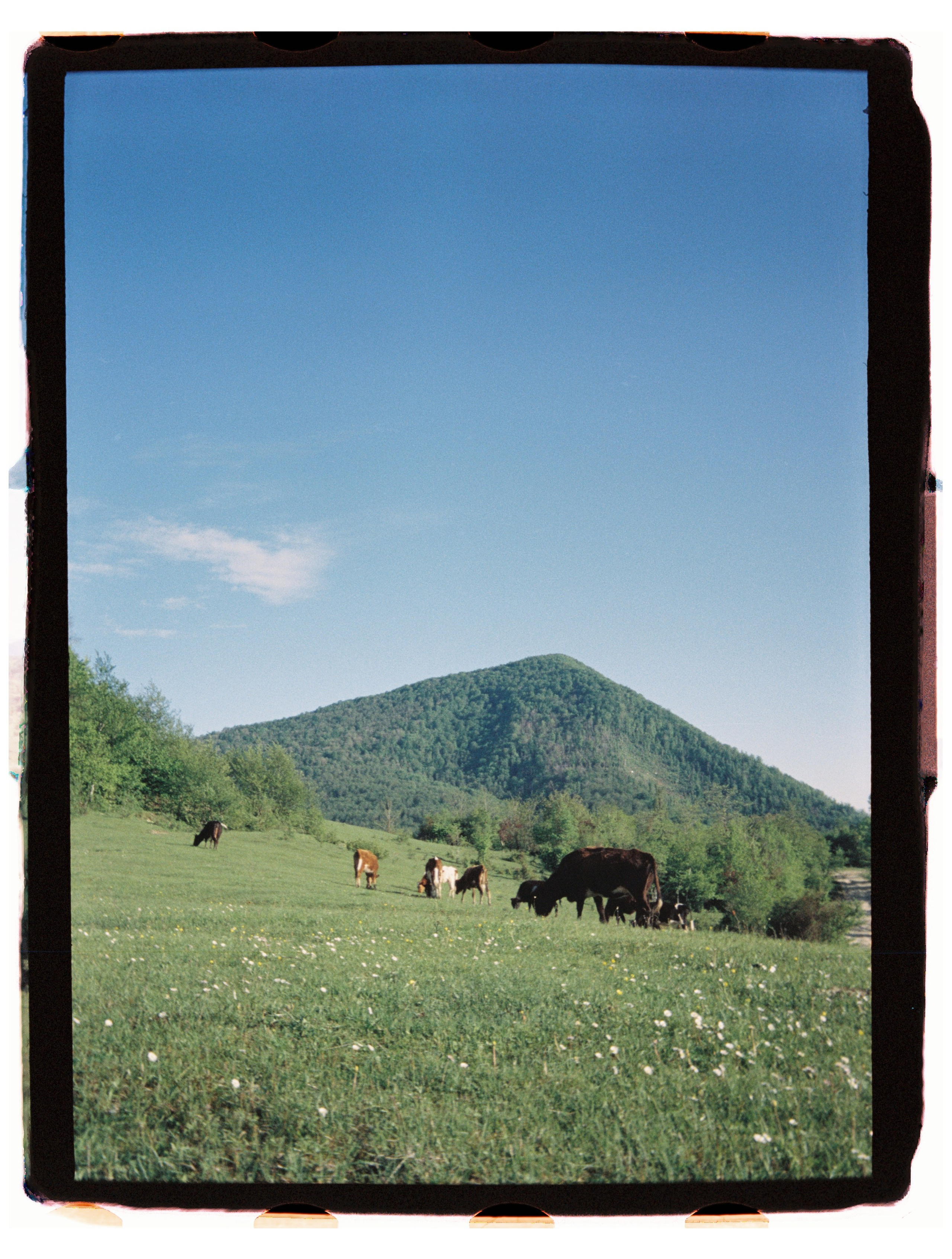 Юг. Профессиональный Фотограф во Владимире, в Москве и в Суздале — Полина Романычева