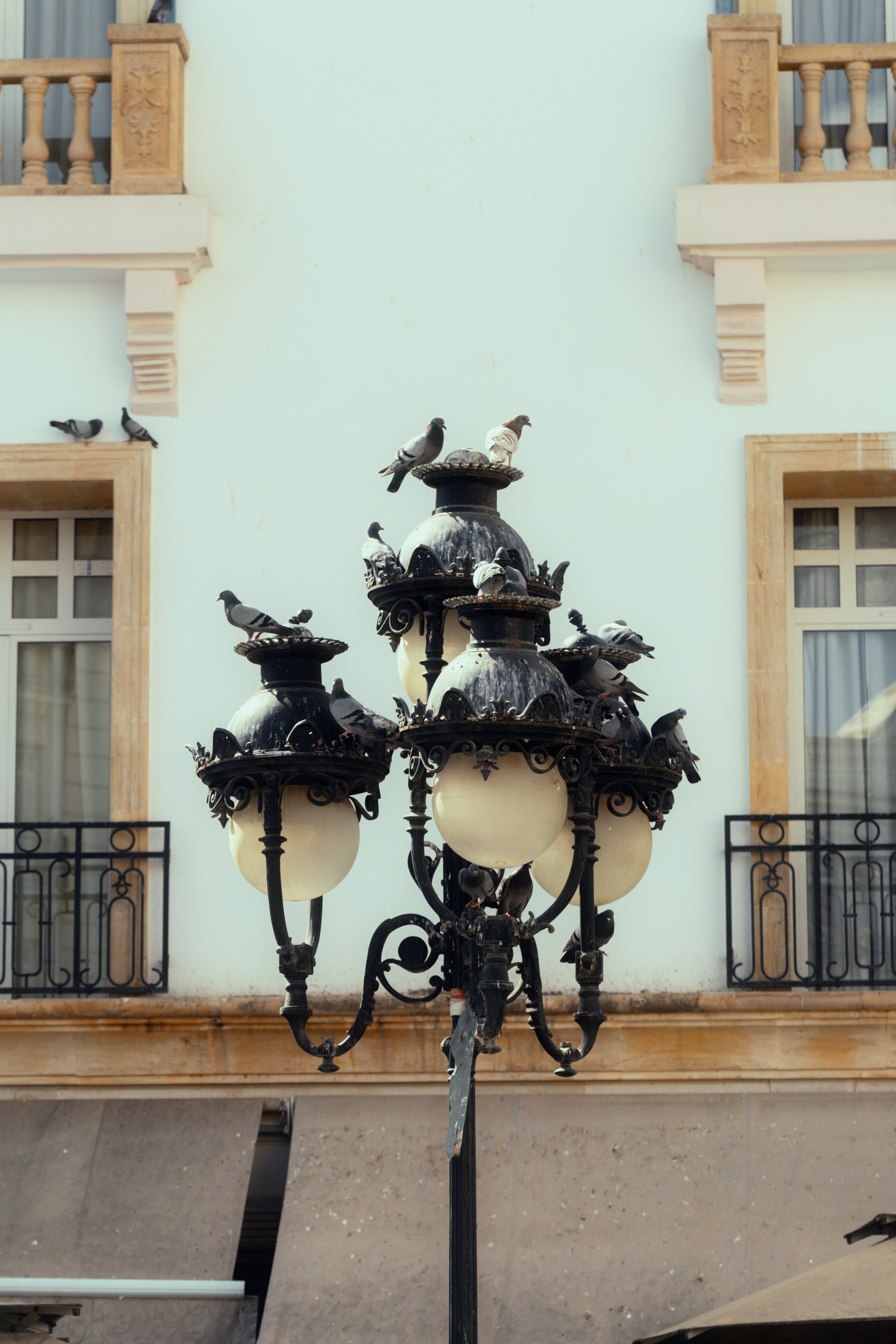 Северная Африка: Тунис, Марокко. Фотограф в Хабаровске. Фотография за 24 часа