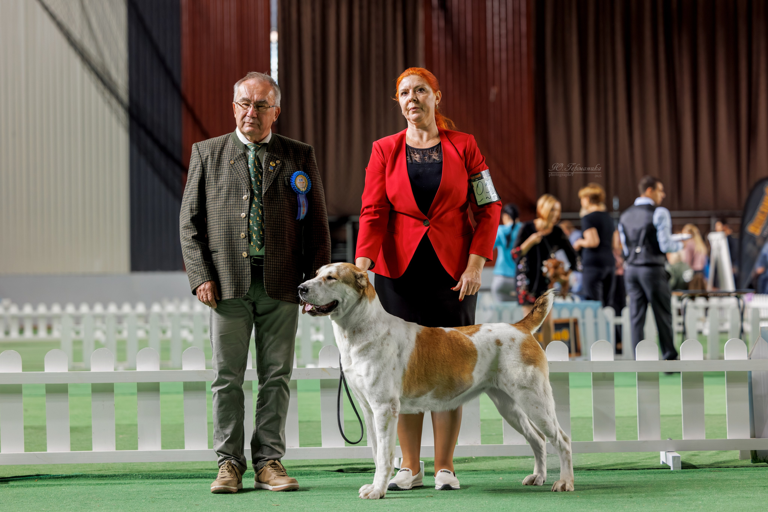 Телави 11-12.10.2025. Фотограф-анималист Юлия Германика