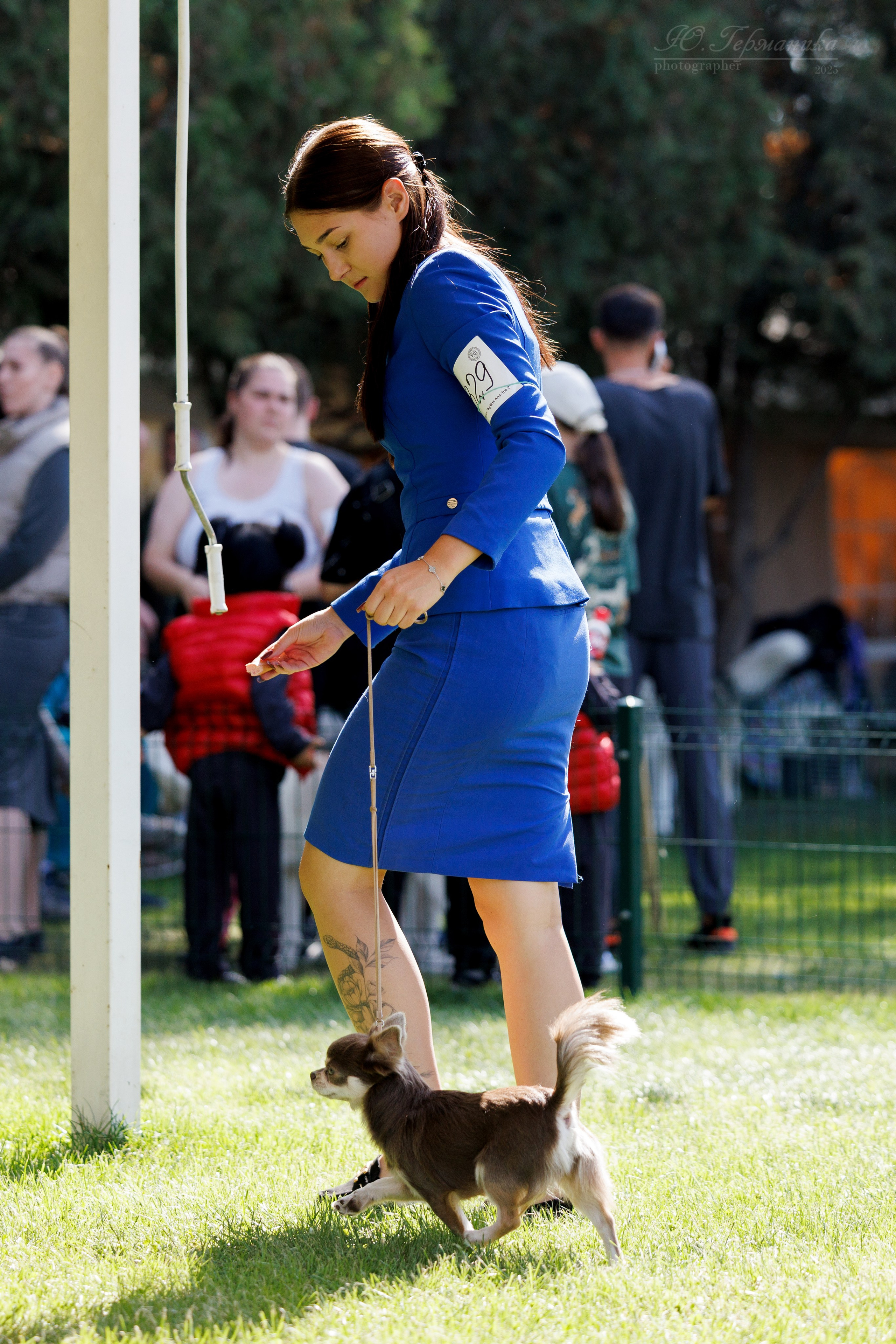 Бишкек 3х CACIB 26-28.09.2025. Фотограф-анималист Юлия Германика