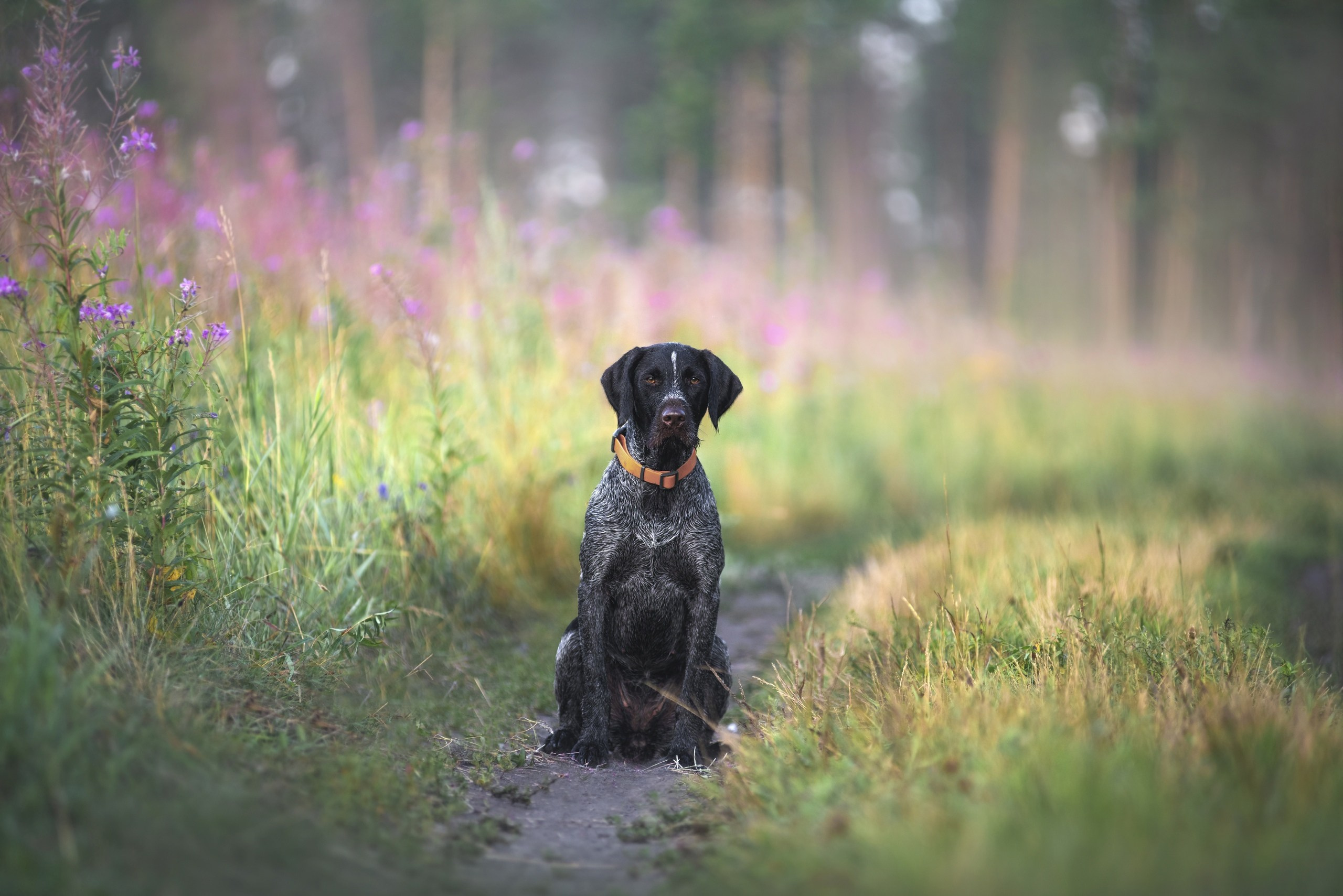 Фотографии. Главная