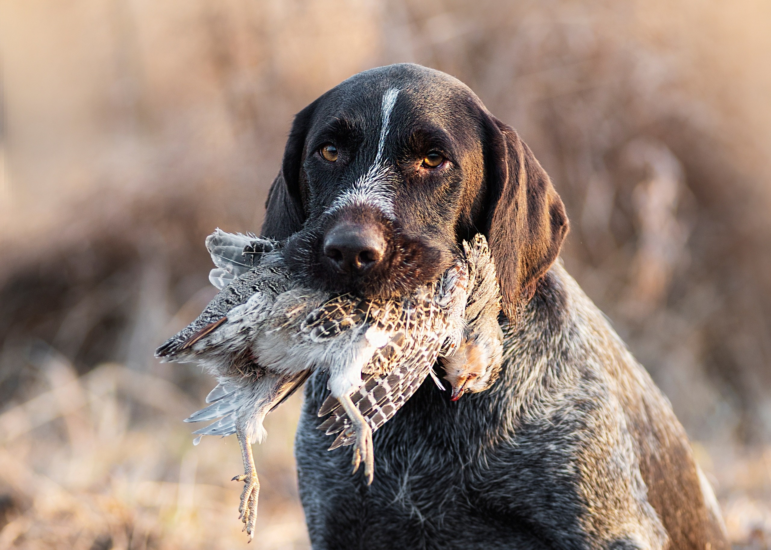 Фотографии. Главная