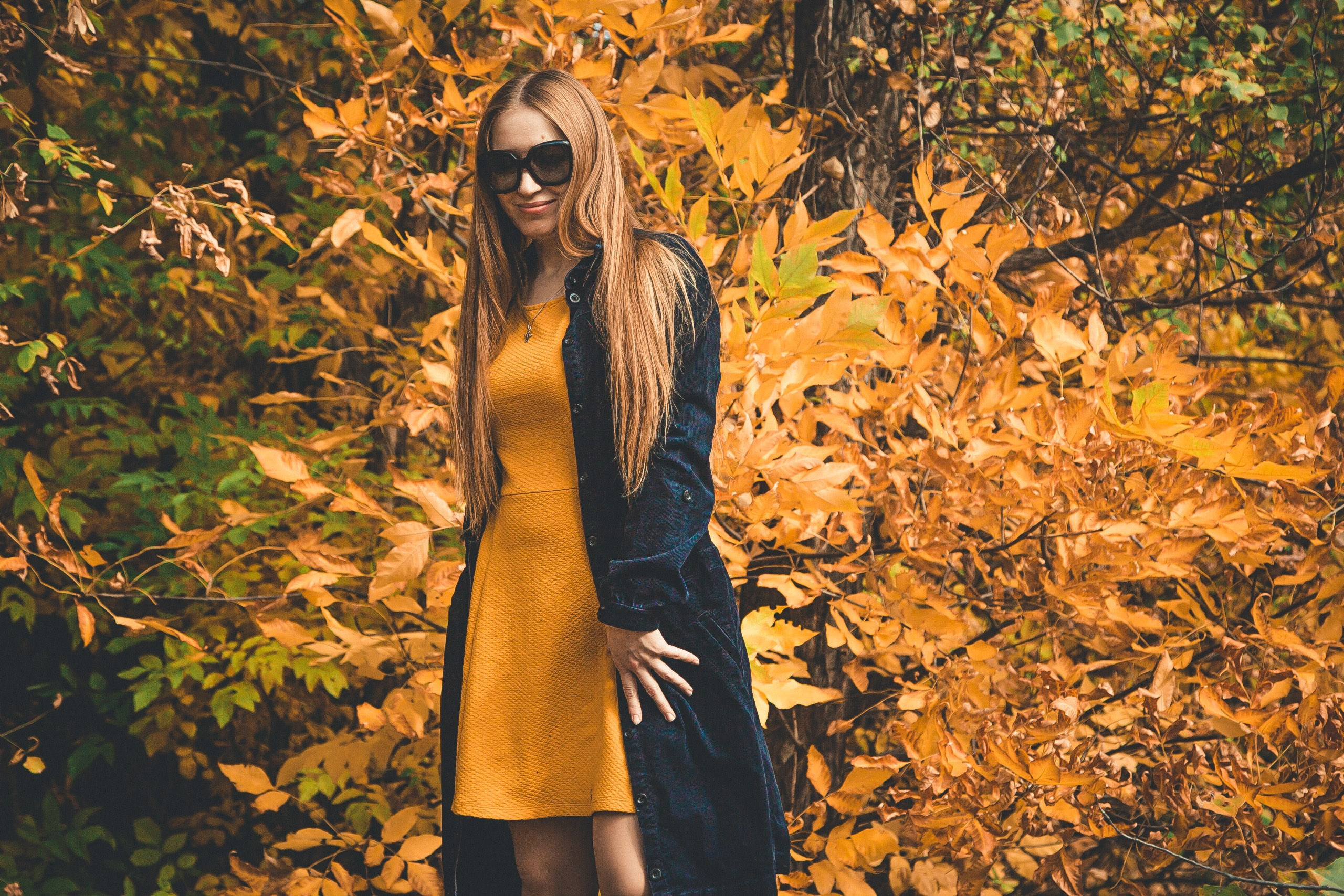 Альбом «Октябрь». Ваш фотограф в Оренбурге Рощупкина Екатерина